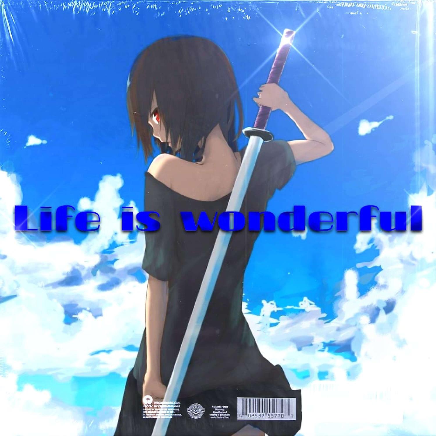 Постер альбома Life is wonderful
