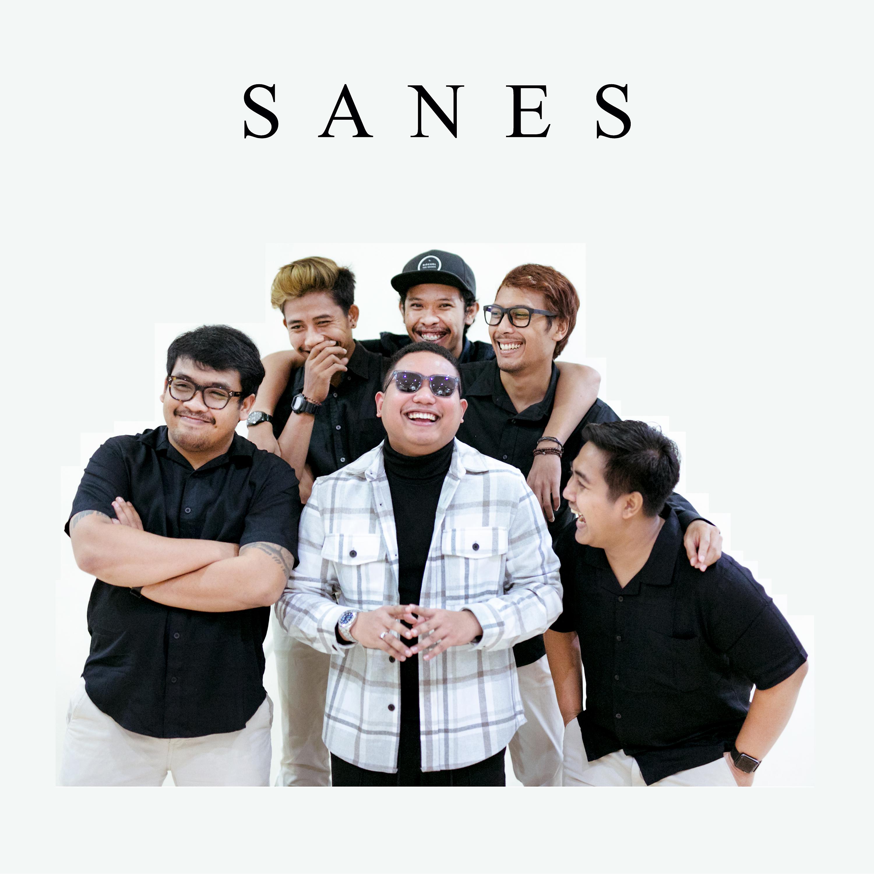 Постер альбома Sanes