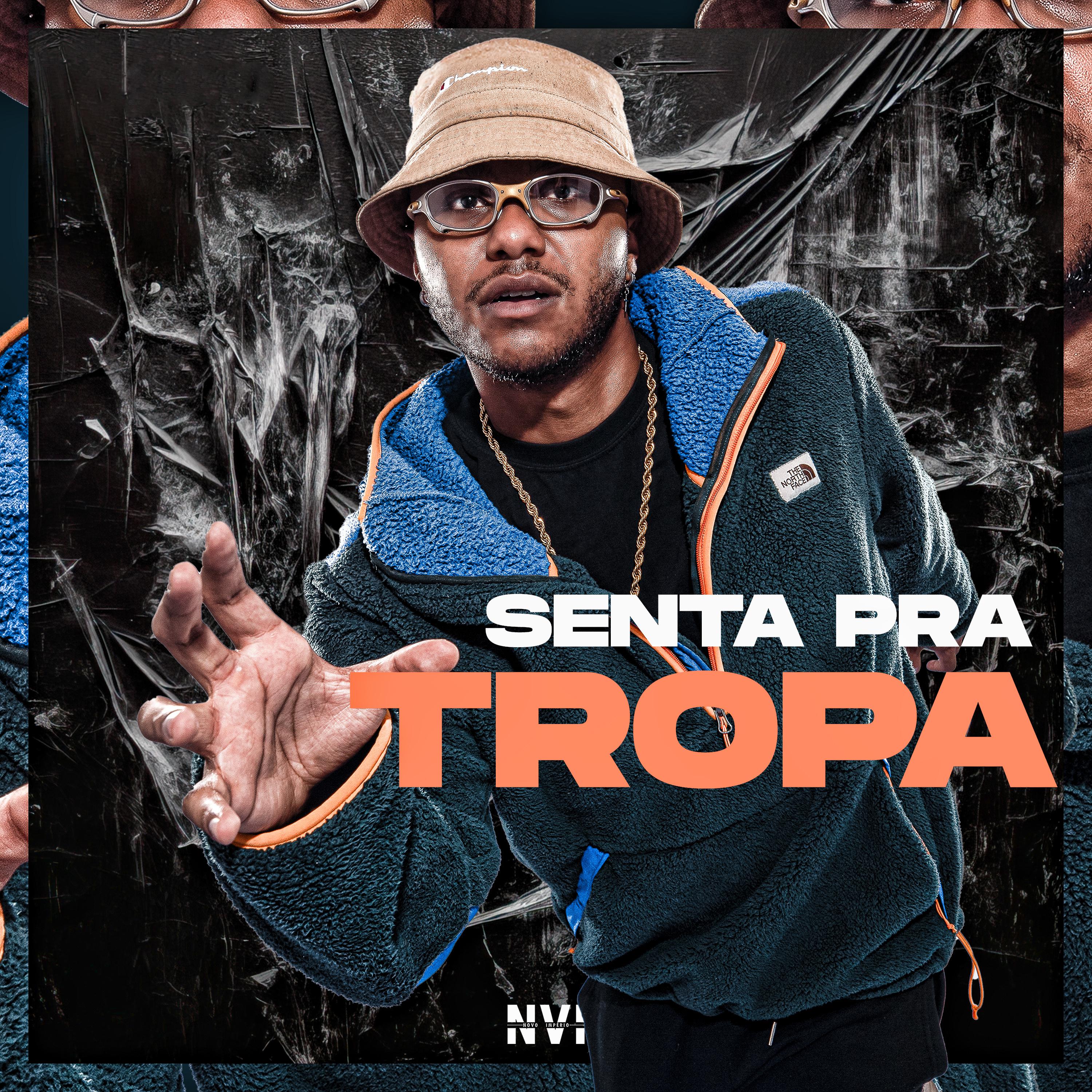 Постер альбома Senta pra Tropa