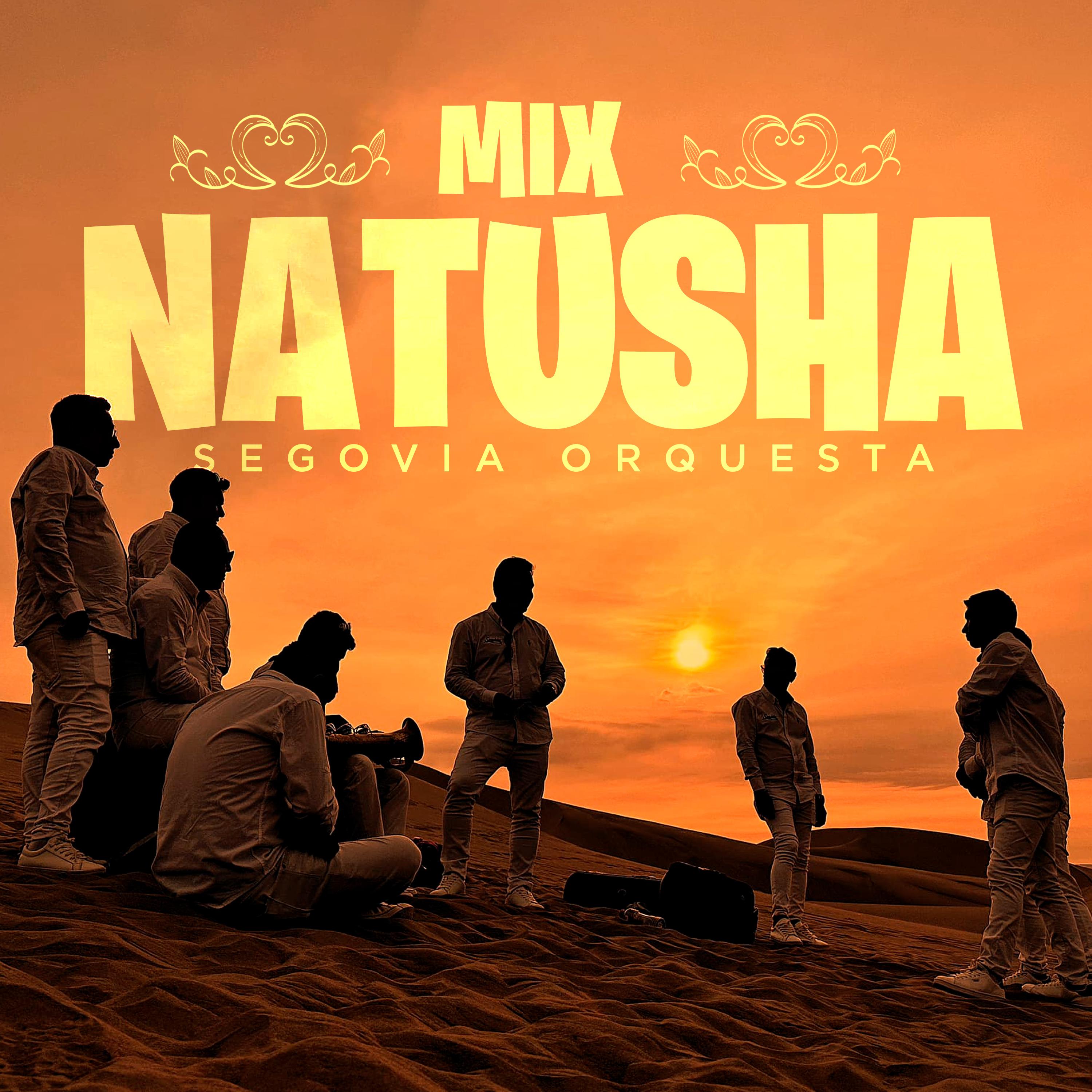 Постер альбома Mix Natusha (El la Engañó / Rumba Lambada / Sin Ti / Tú la Tienes Que Pagar)