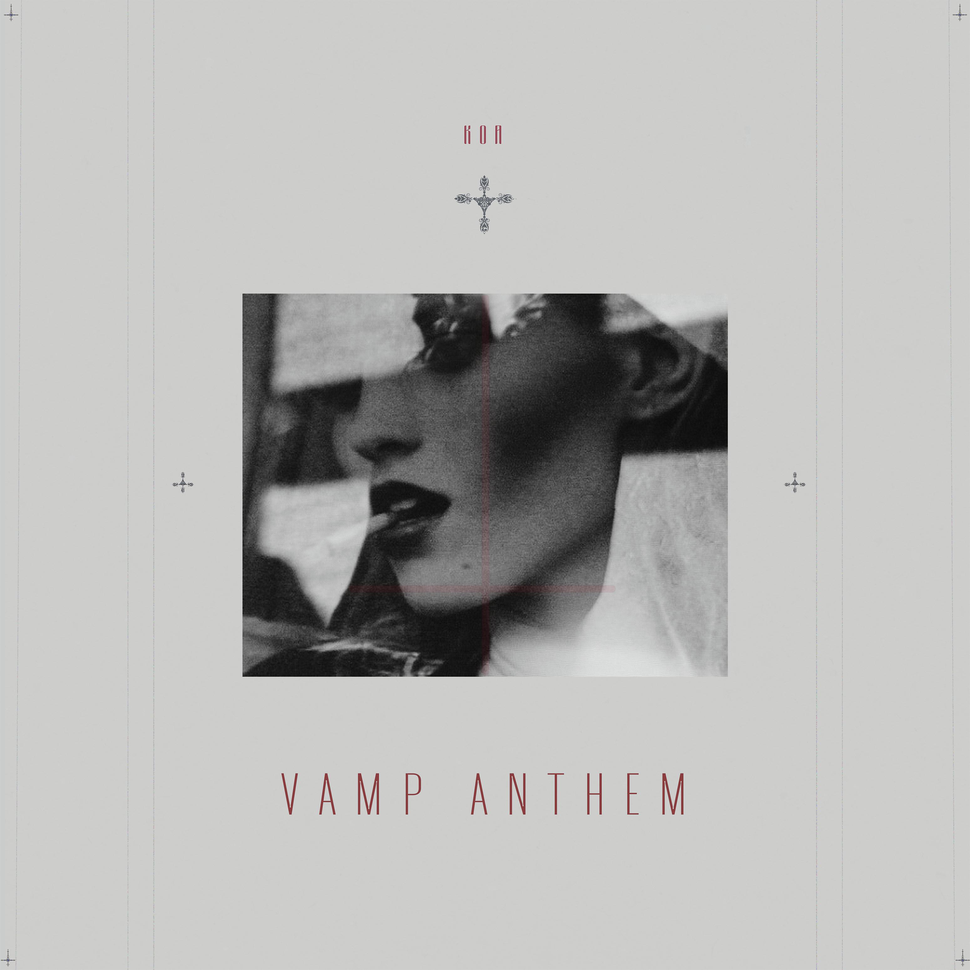 Постер альбома Vamp Anthem