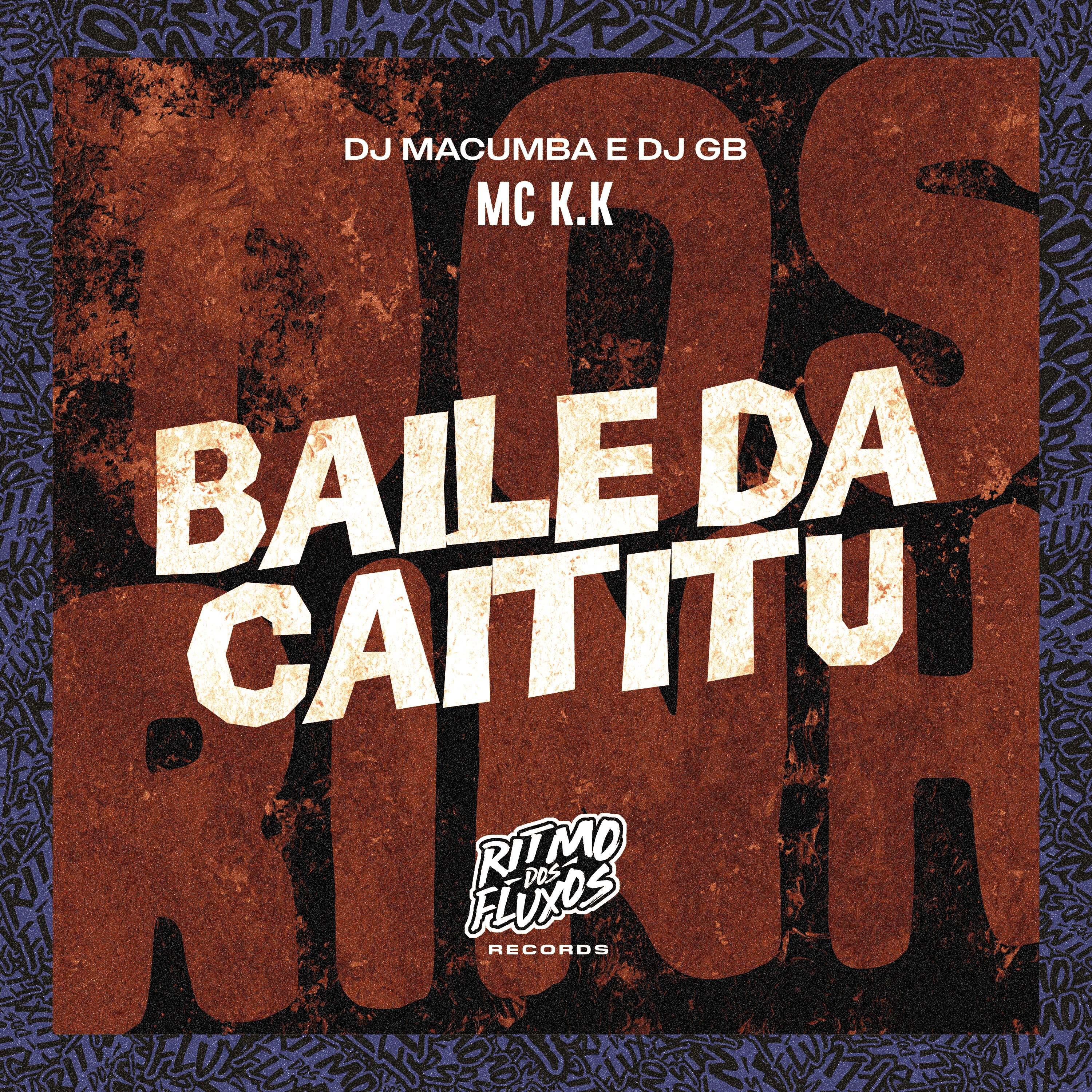 Постер альбома Baile da Catitu