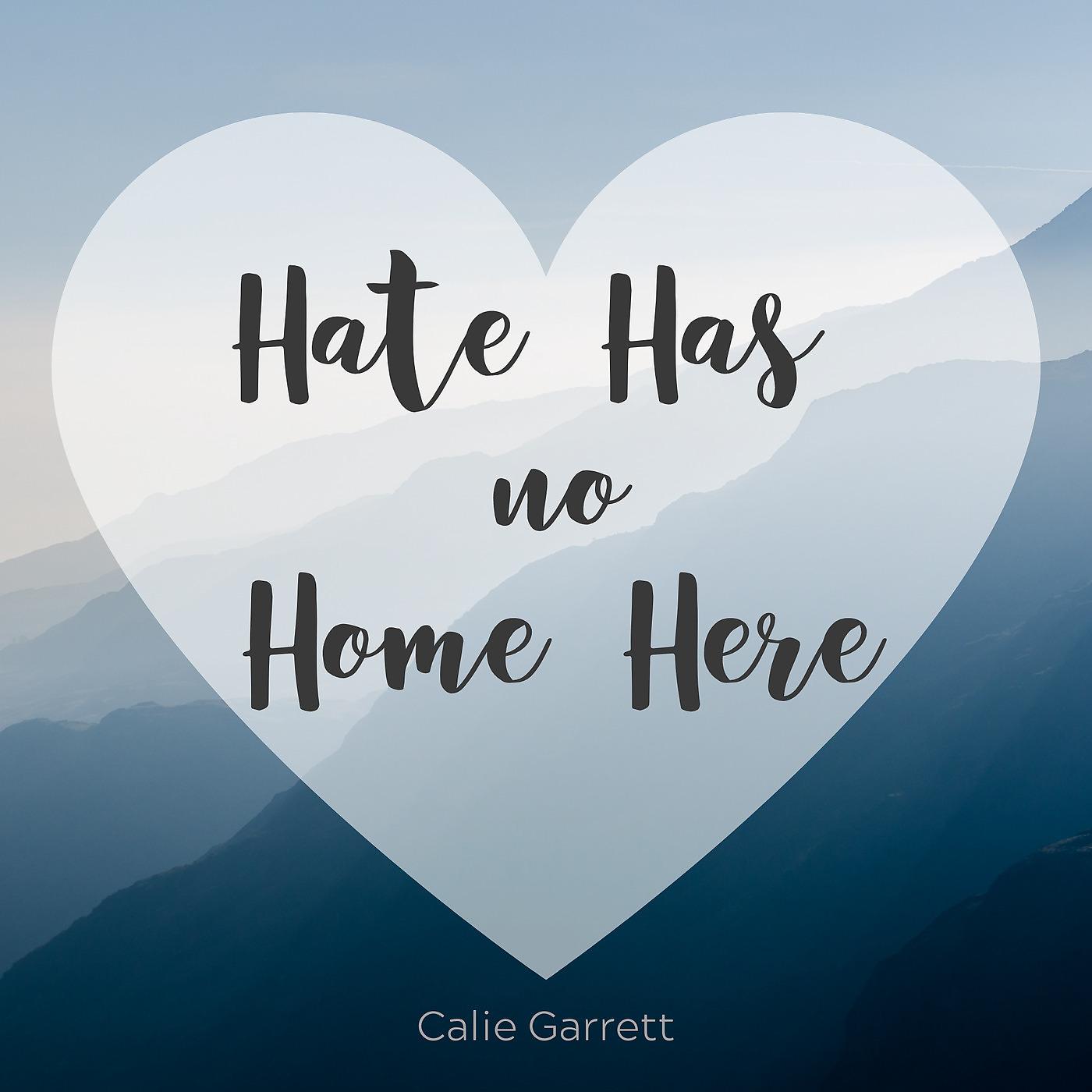 Постер альбома Hate Has No Home Here