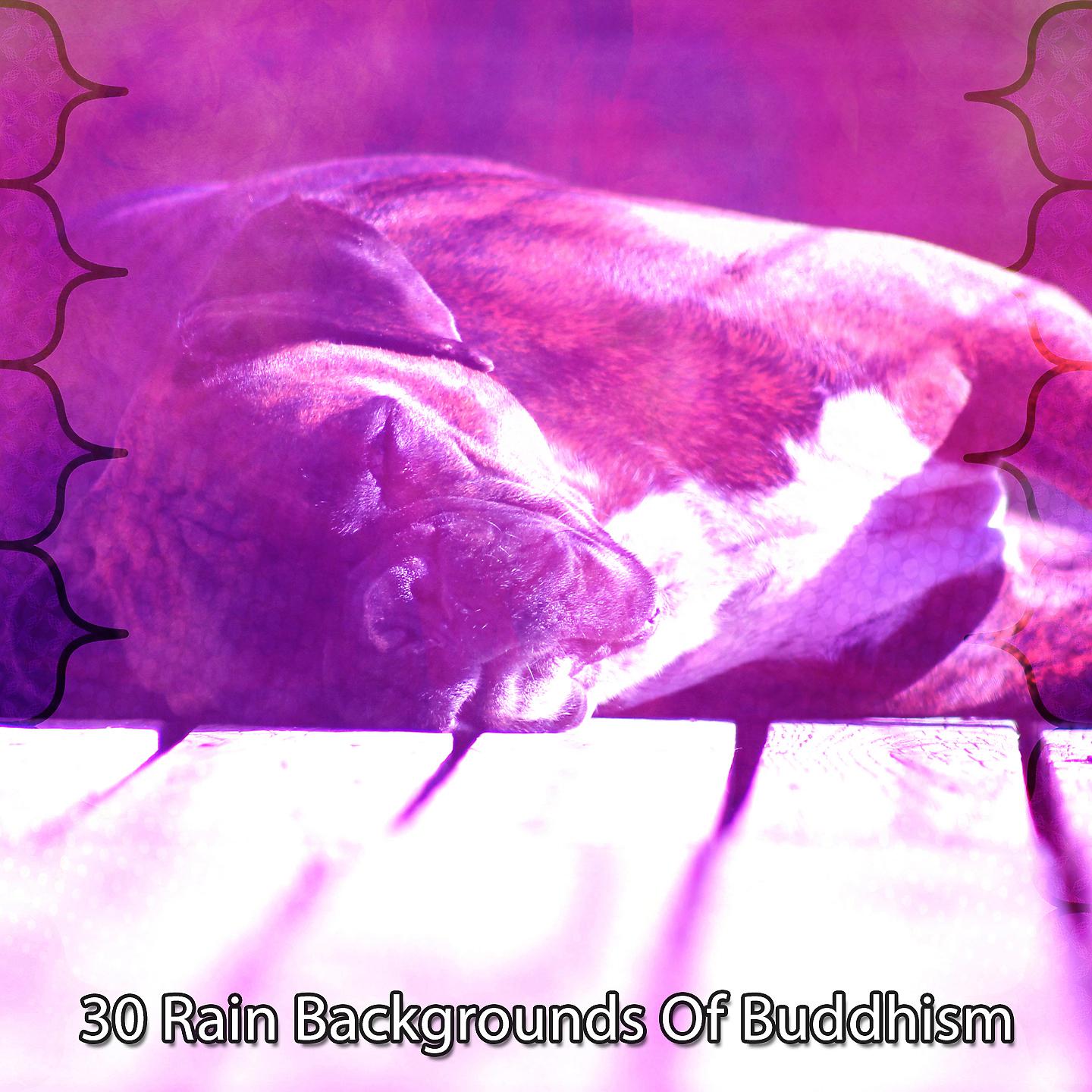 Постер альбома 30 фонов дождя из буддизма