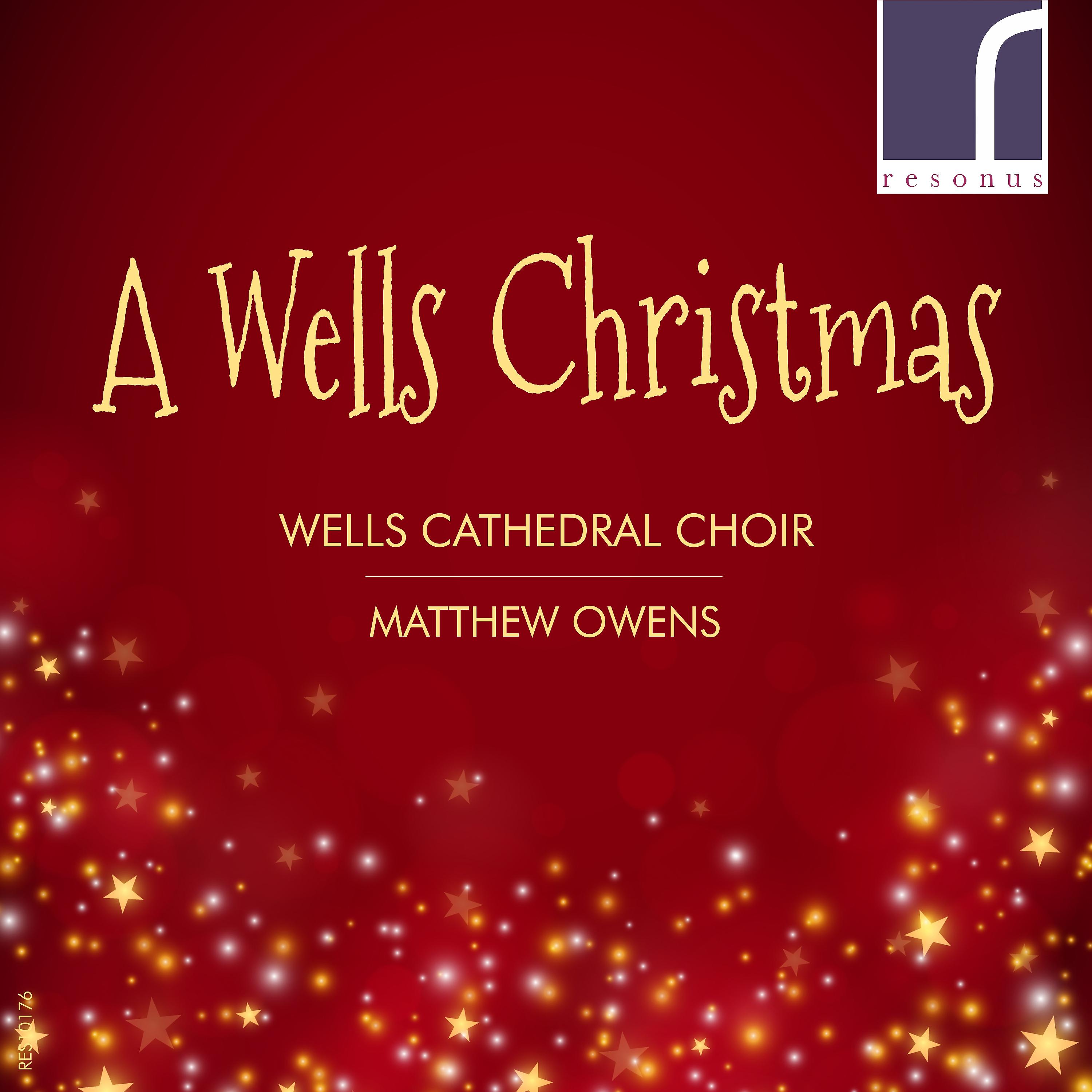 Постер альбома A Wells Christmas