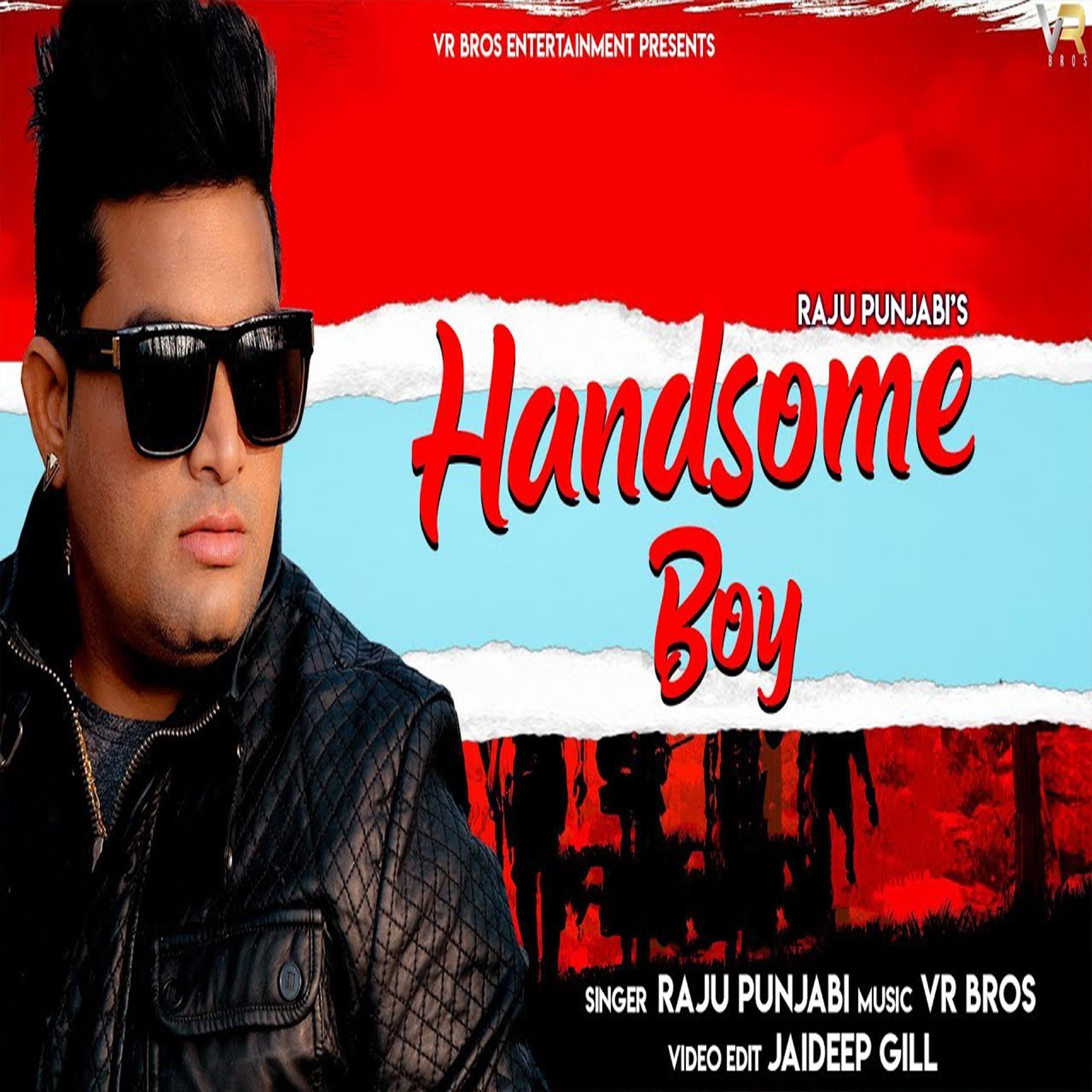 Постер альбома Handsome Boy