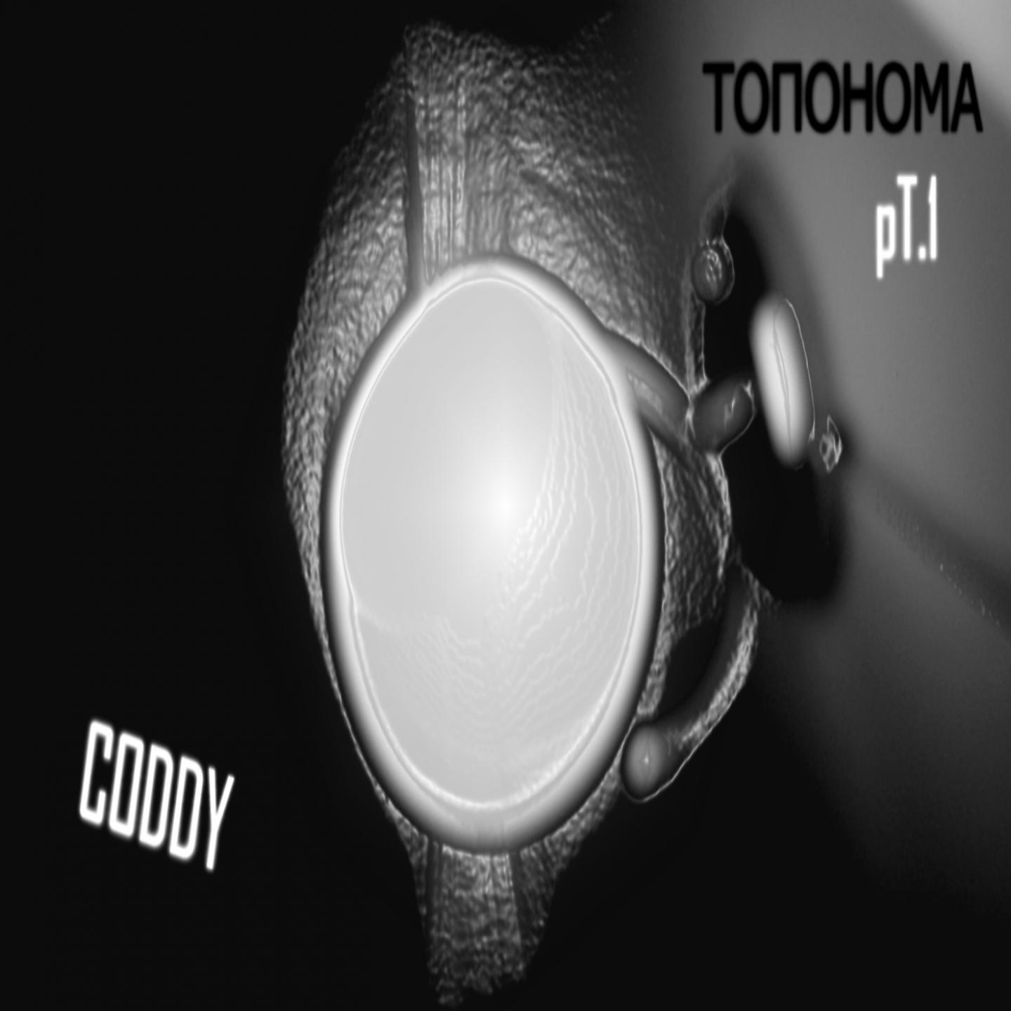 Постер альбома Топонома