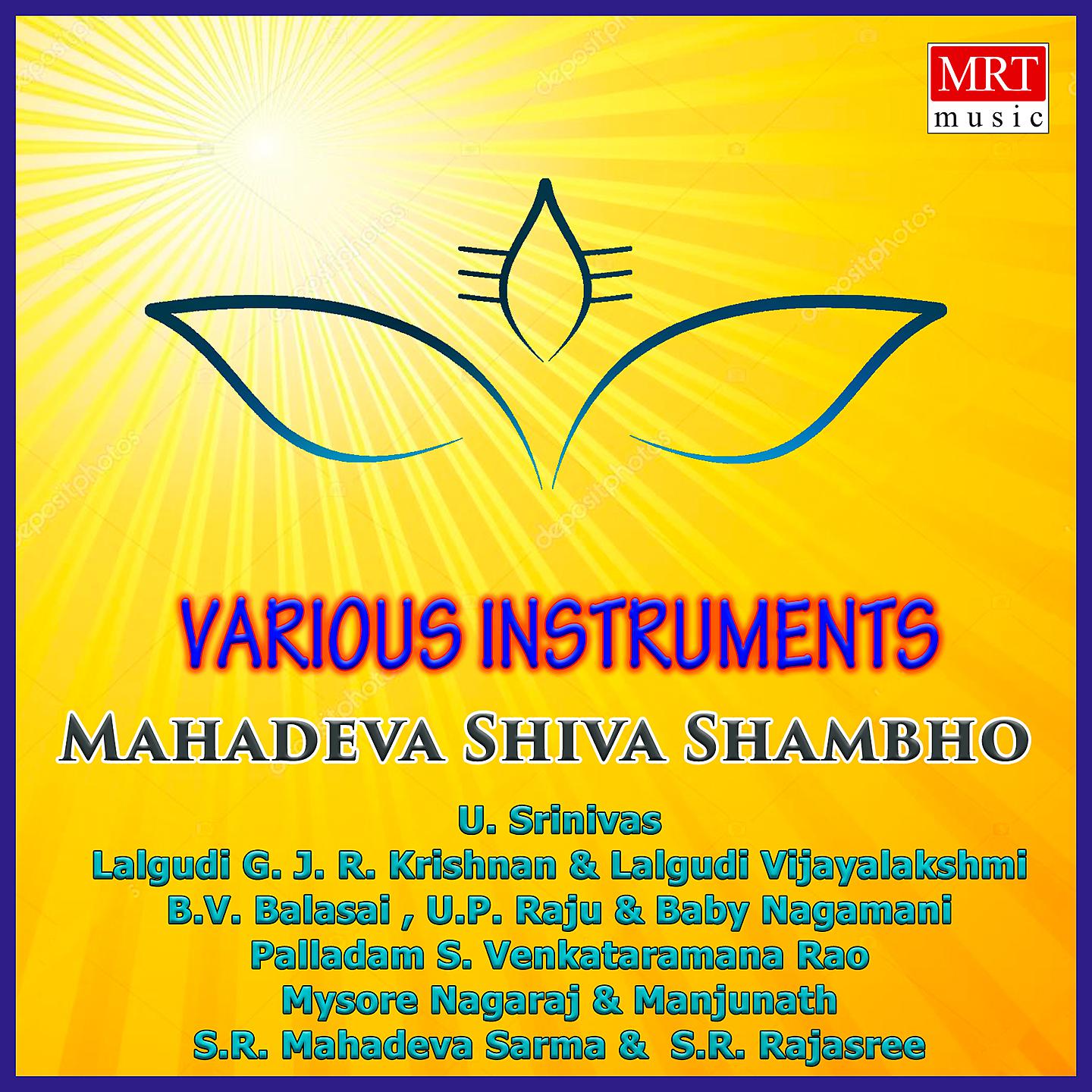 Постер альбома Mahadeva Shiva Shambho