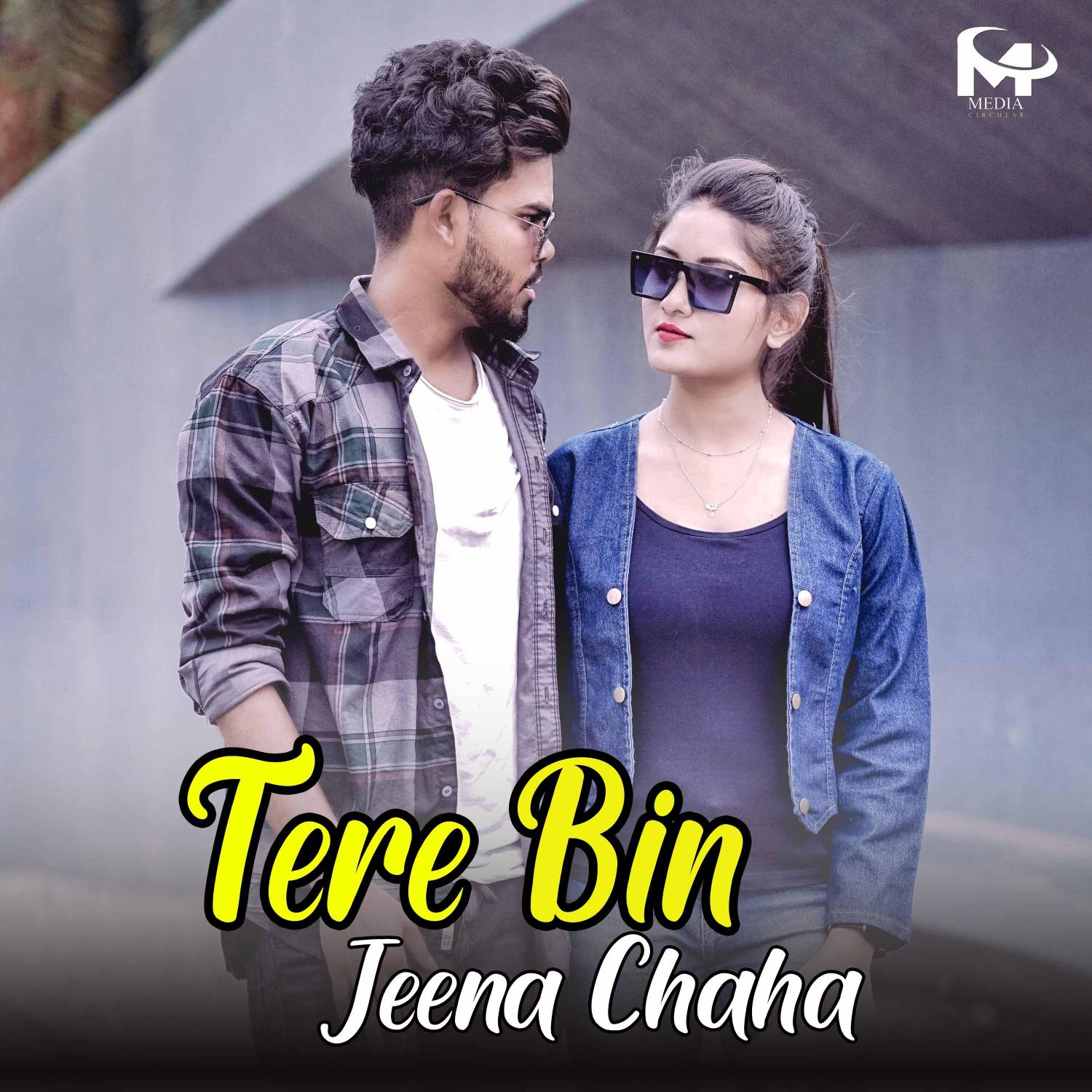 Постер альбома Tere Bina Jeena Chaha