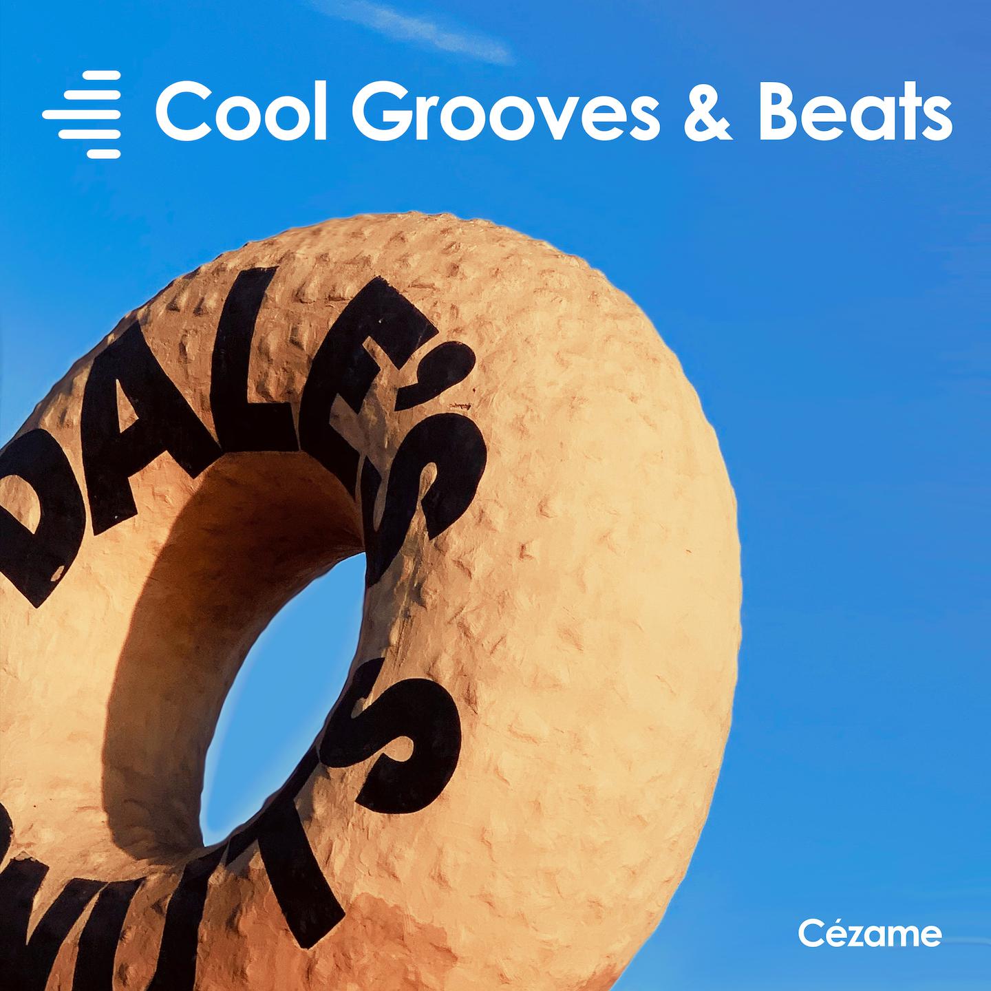 Постер альбома Cool Grooves & Beats