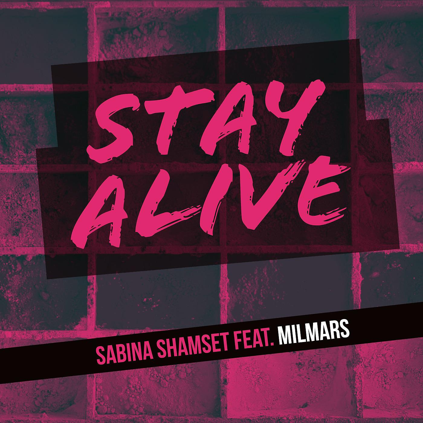 Постер альбома Stay Alive (feat. Milmars)
