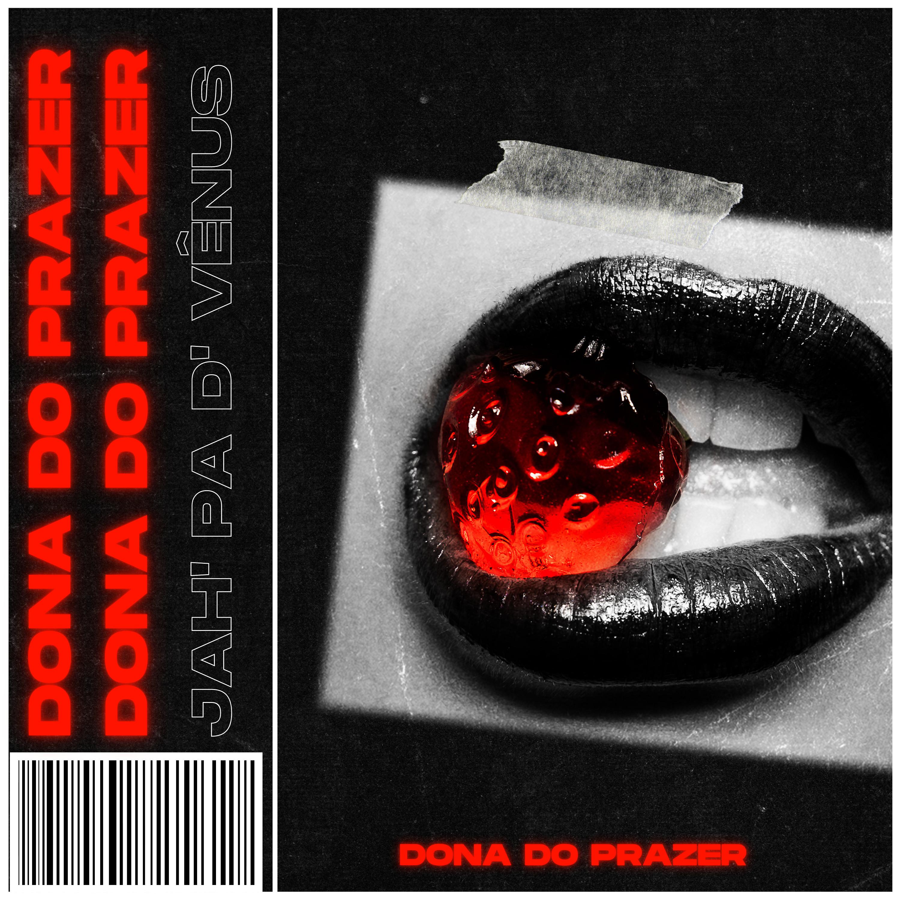 Постер альбома Dona do Prazer