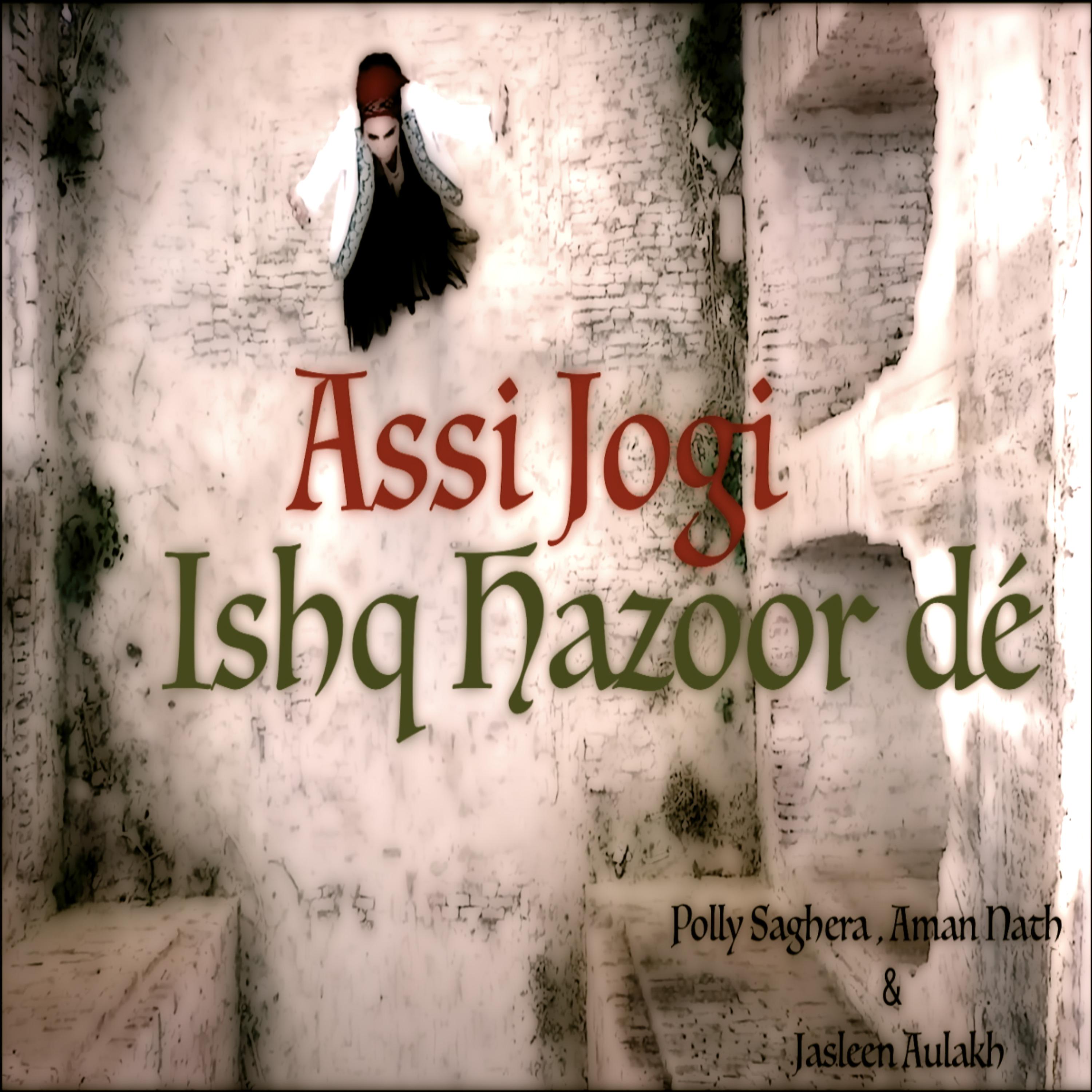 Постер альбома Assi Jogi