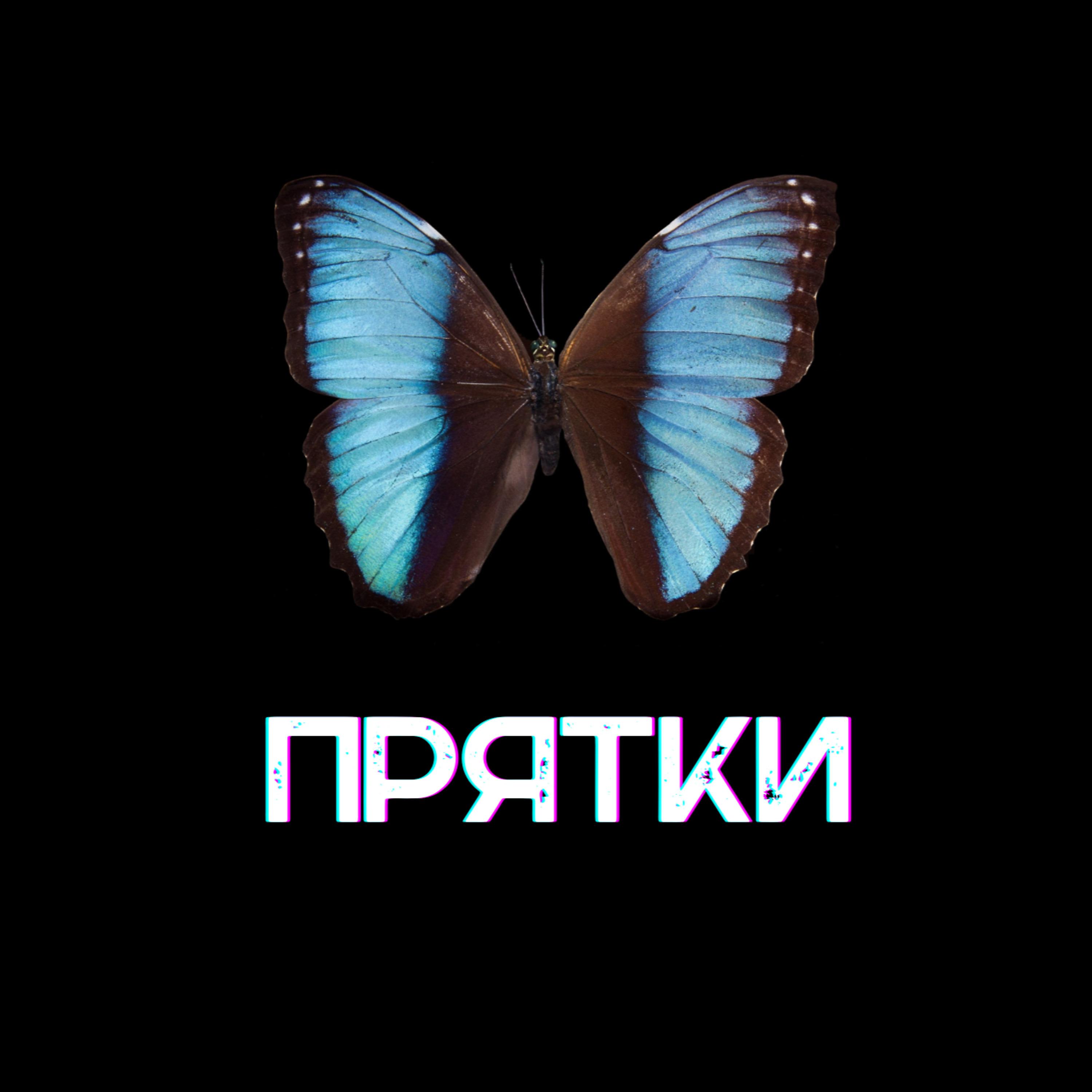 Постер альбома Прятки (feat. Icegan)