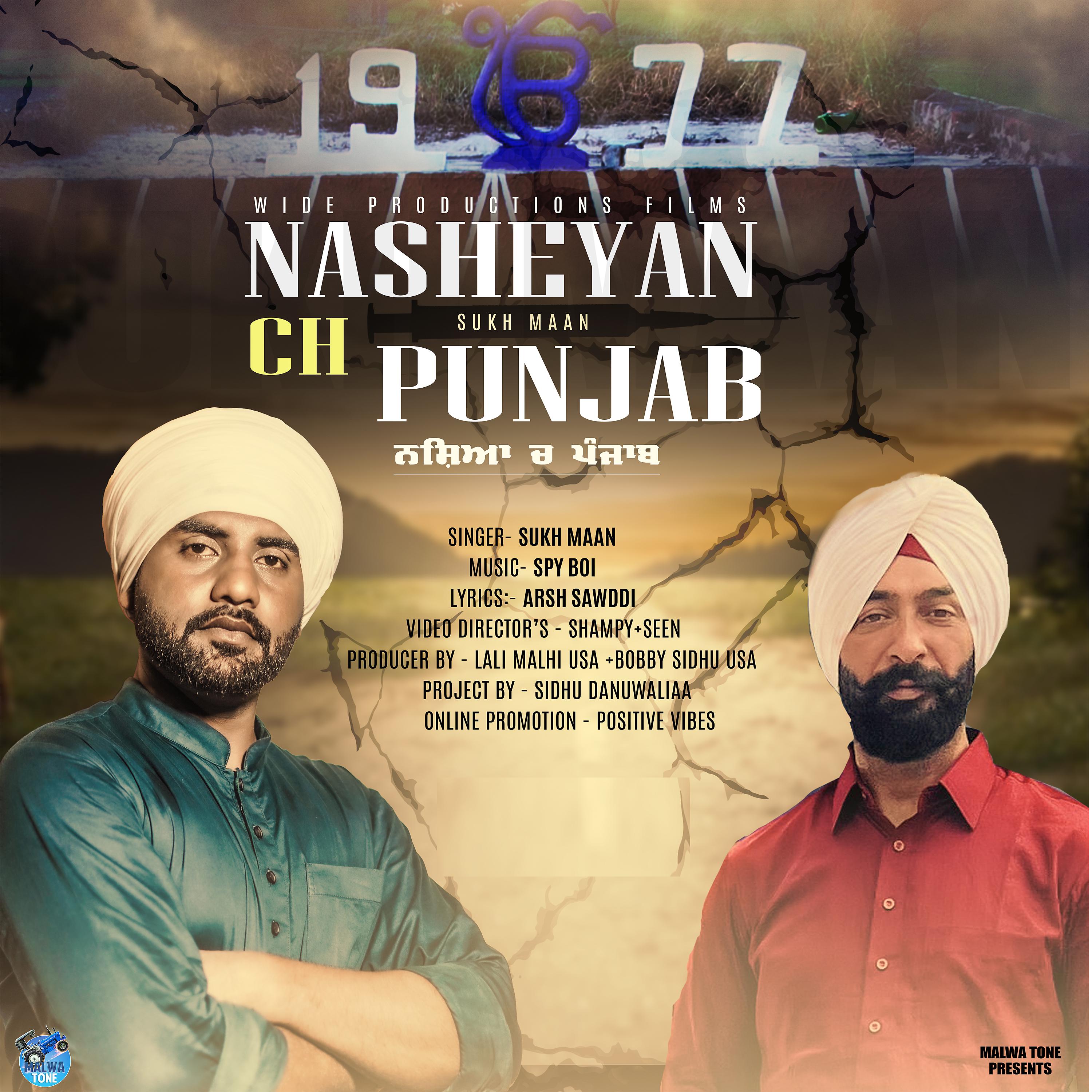 Постер альбома Nasheyan Ch Punjab