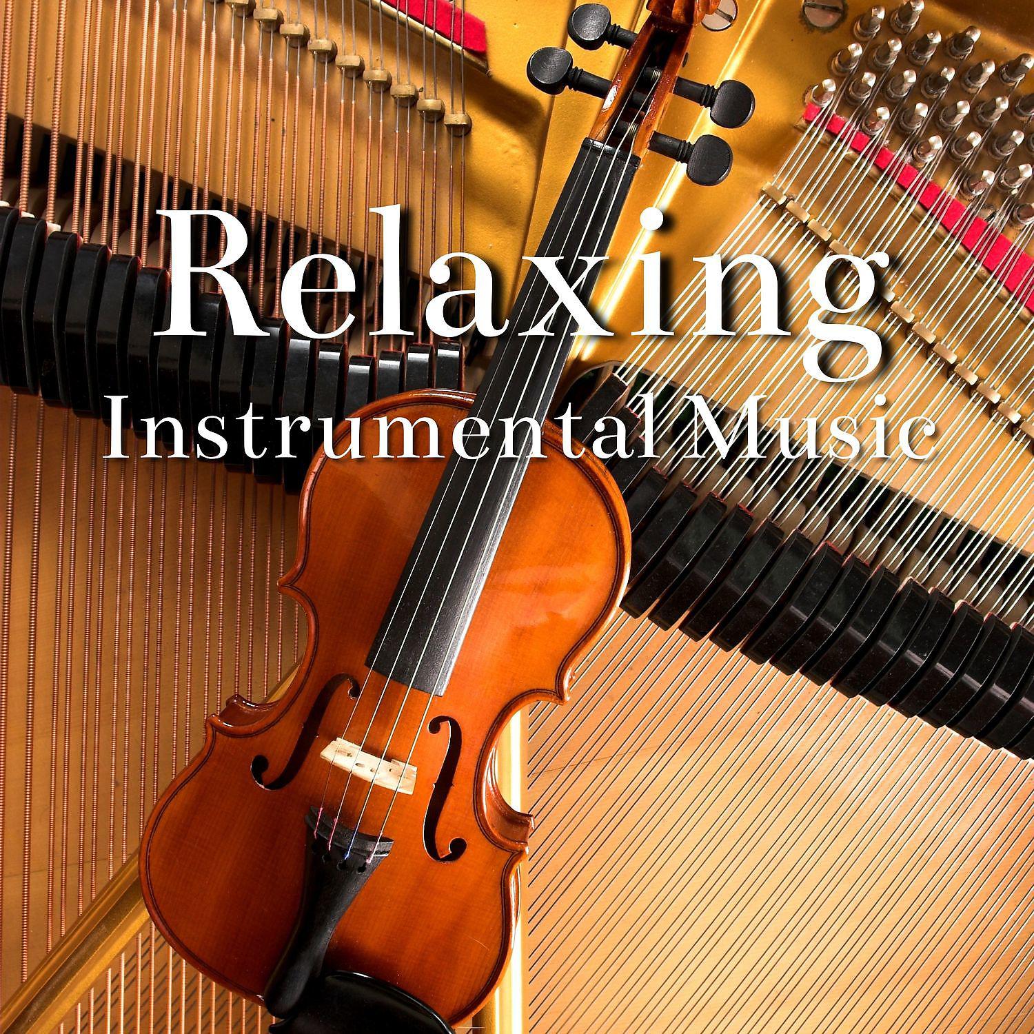 Постер альбома Relaxing Instrumental Music