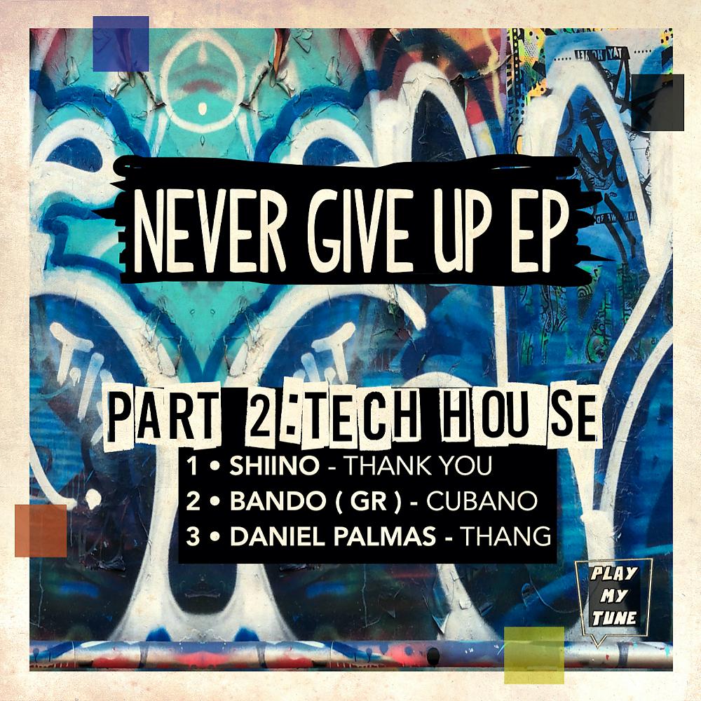 Постер альбома NEVER GIVE UP  PART 2 : TECH HOUSE