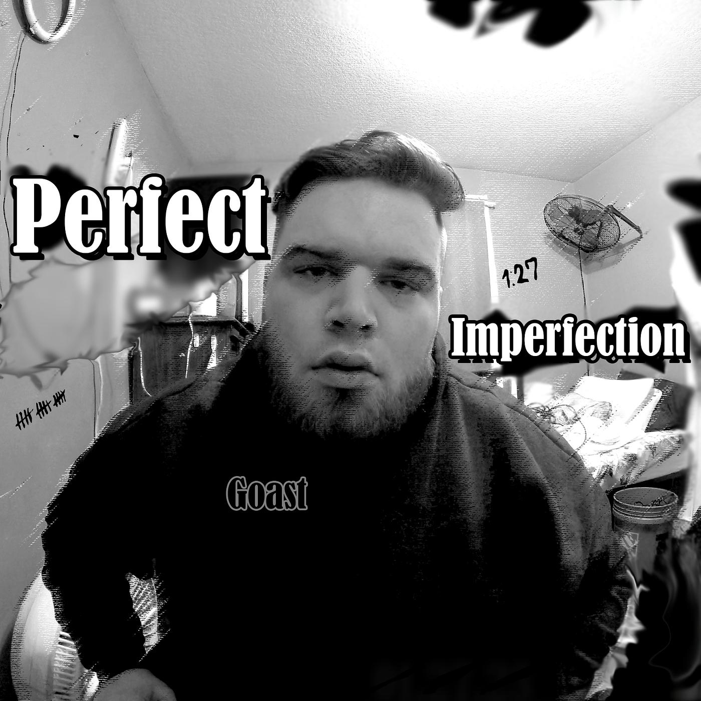 Постер альбома Perfect Imperfection