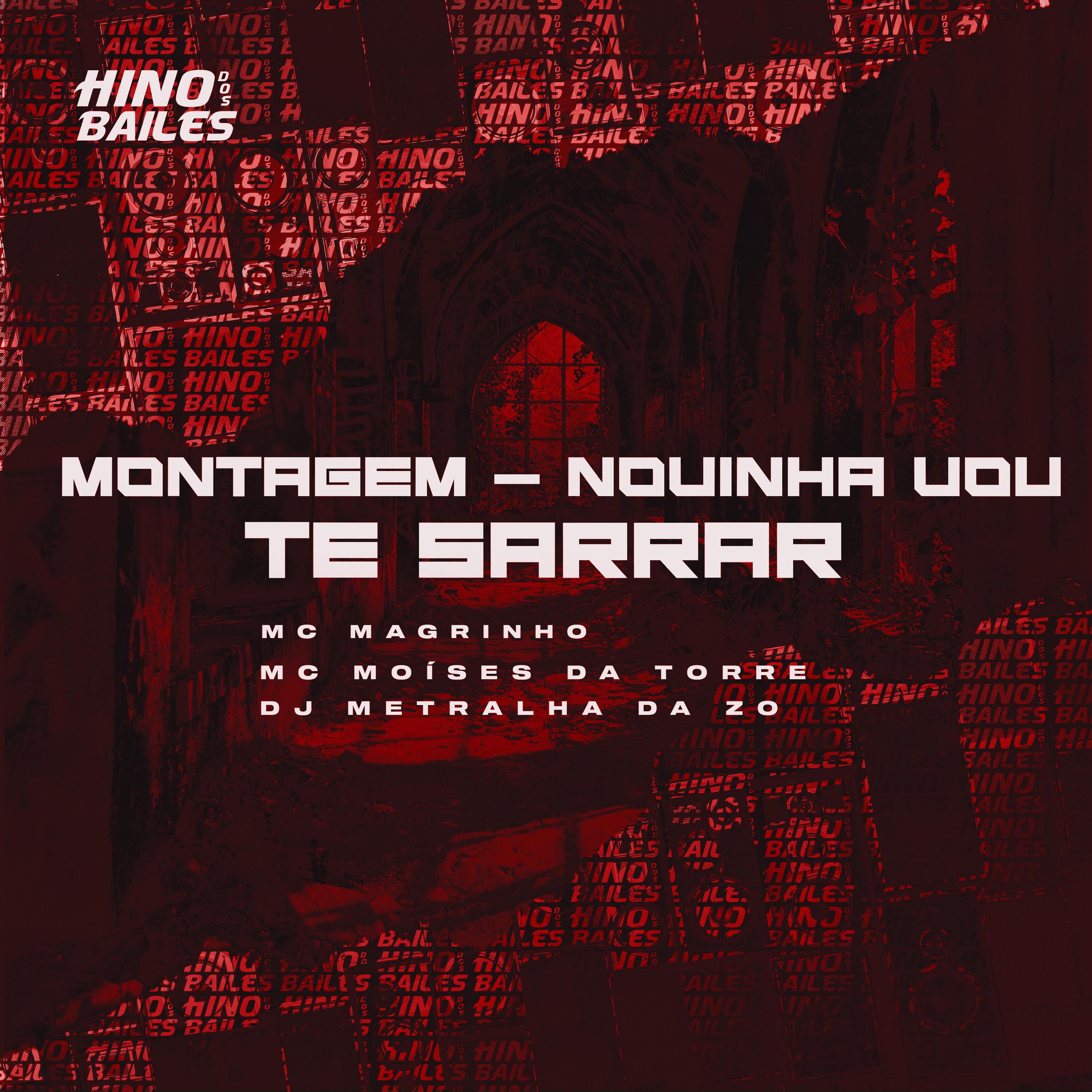 Постер альбома Montagem - Novinha Vou Te Sarrar