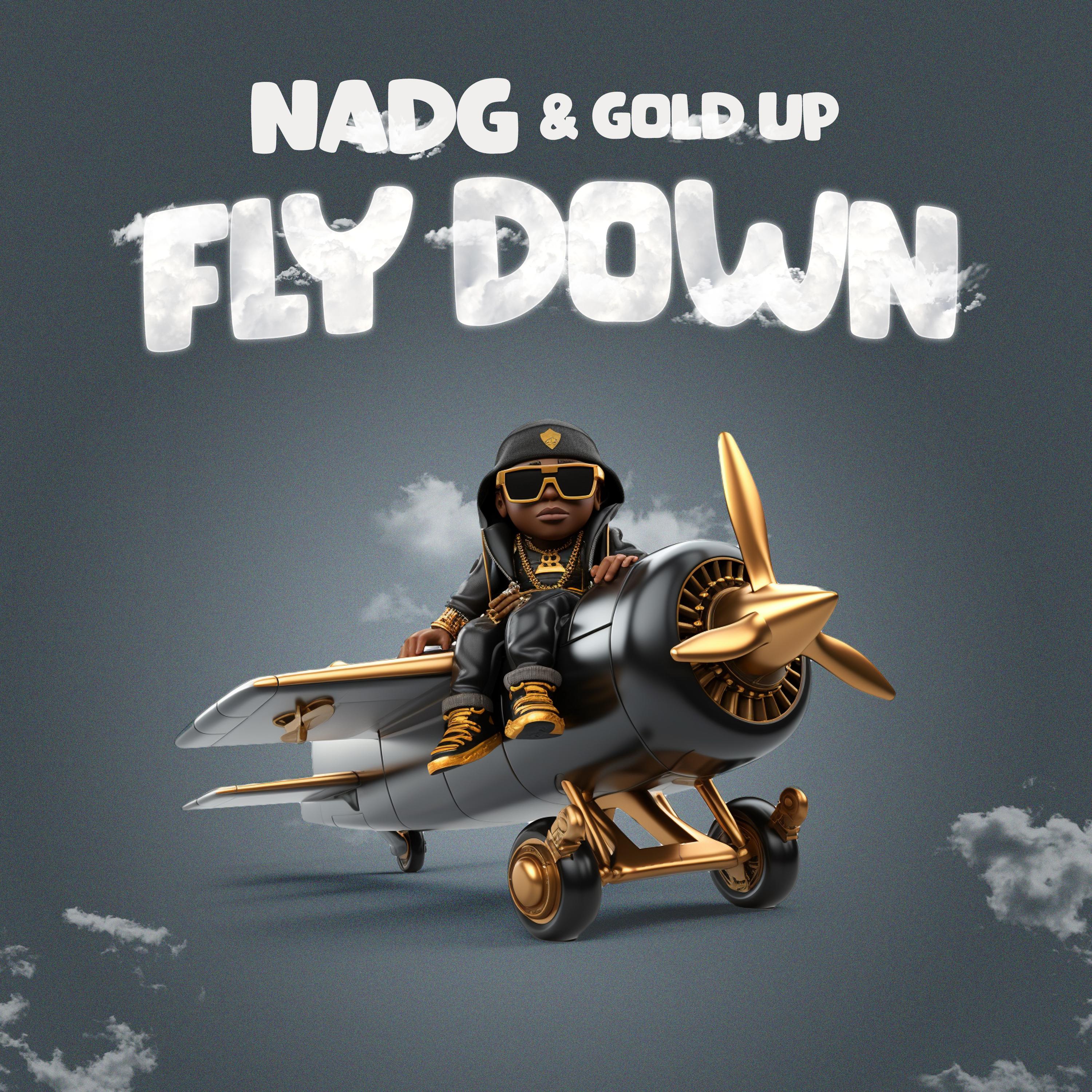 Постер альбома Fly Down