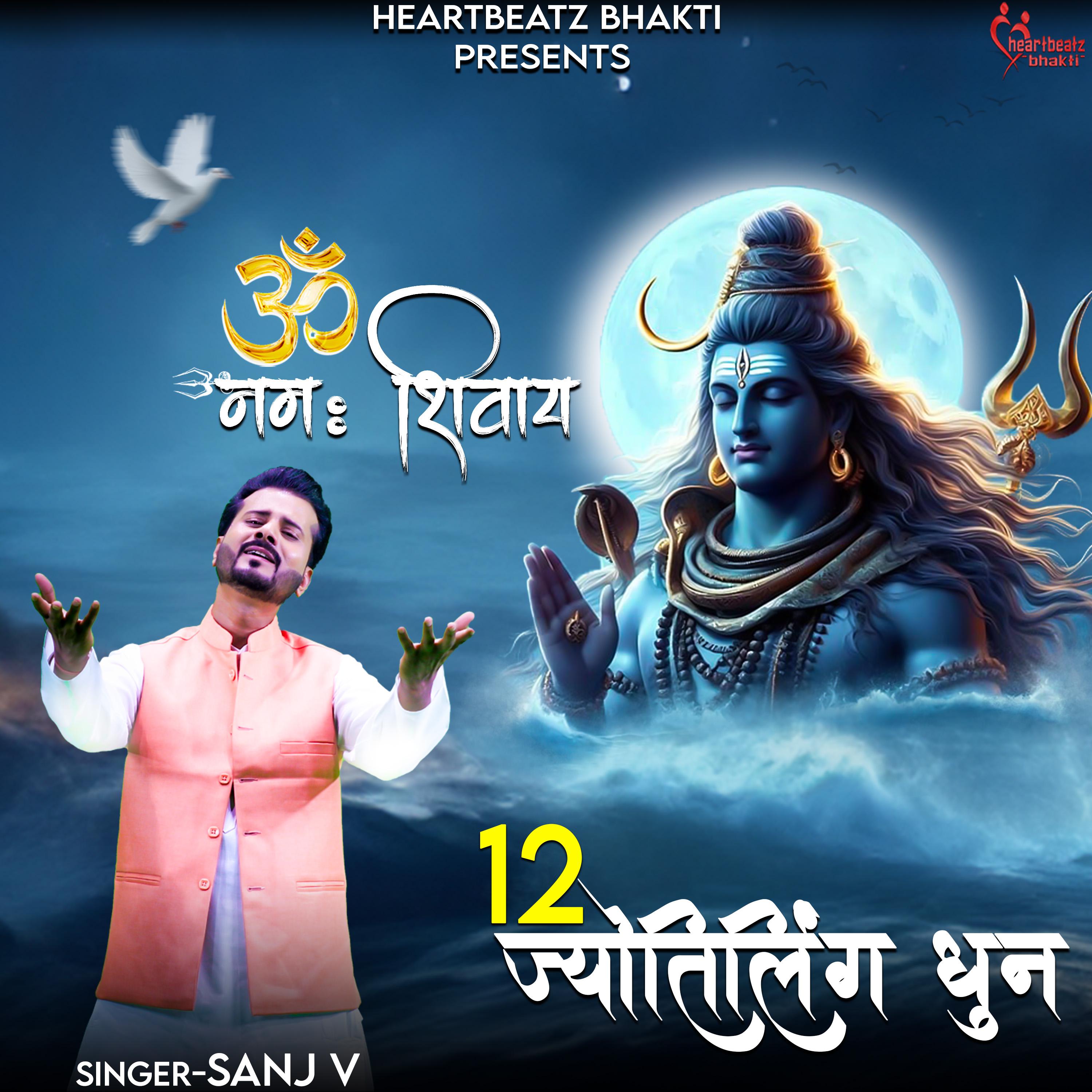 Постер альбома Om Namah Shivay 12 Jyotirling Dhun