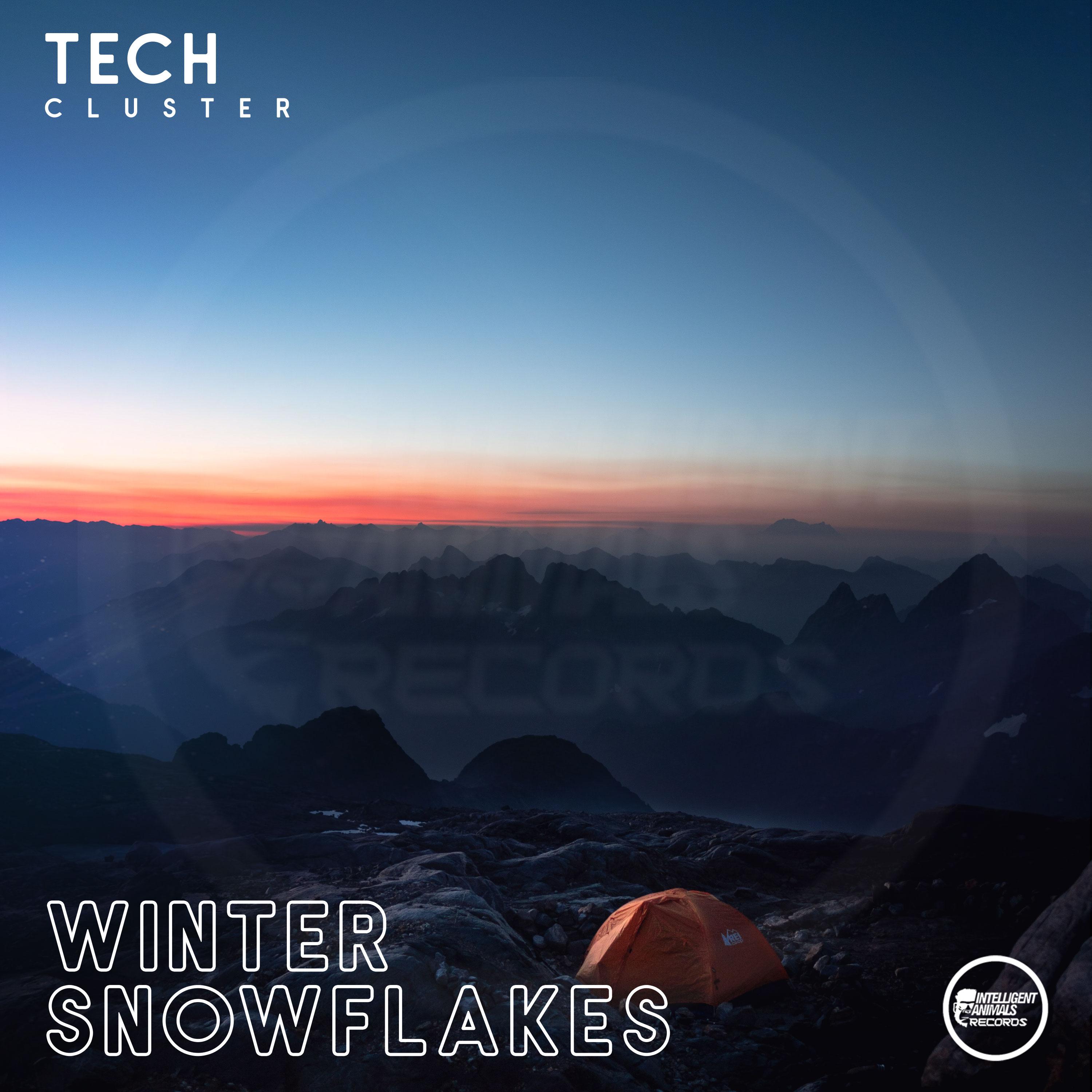 Постер альбома Winter Snowflakes