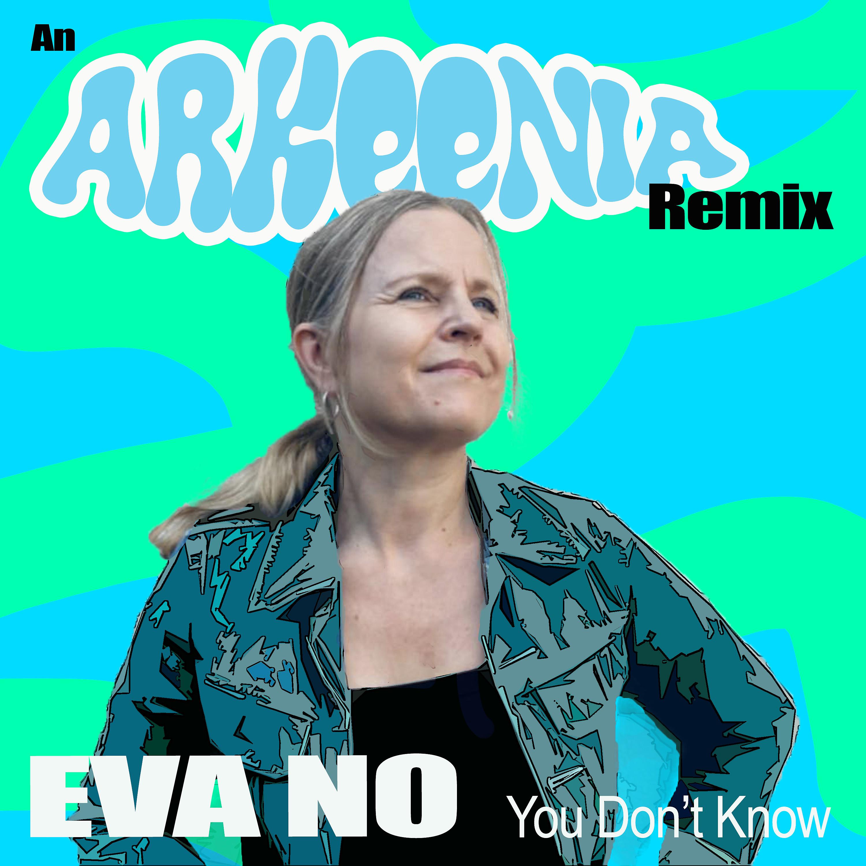Постер альбома You Don't Know (Arkeenia Remix)