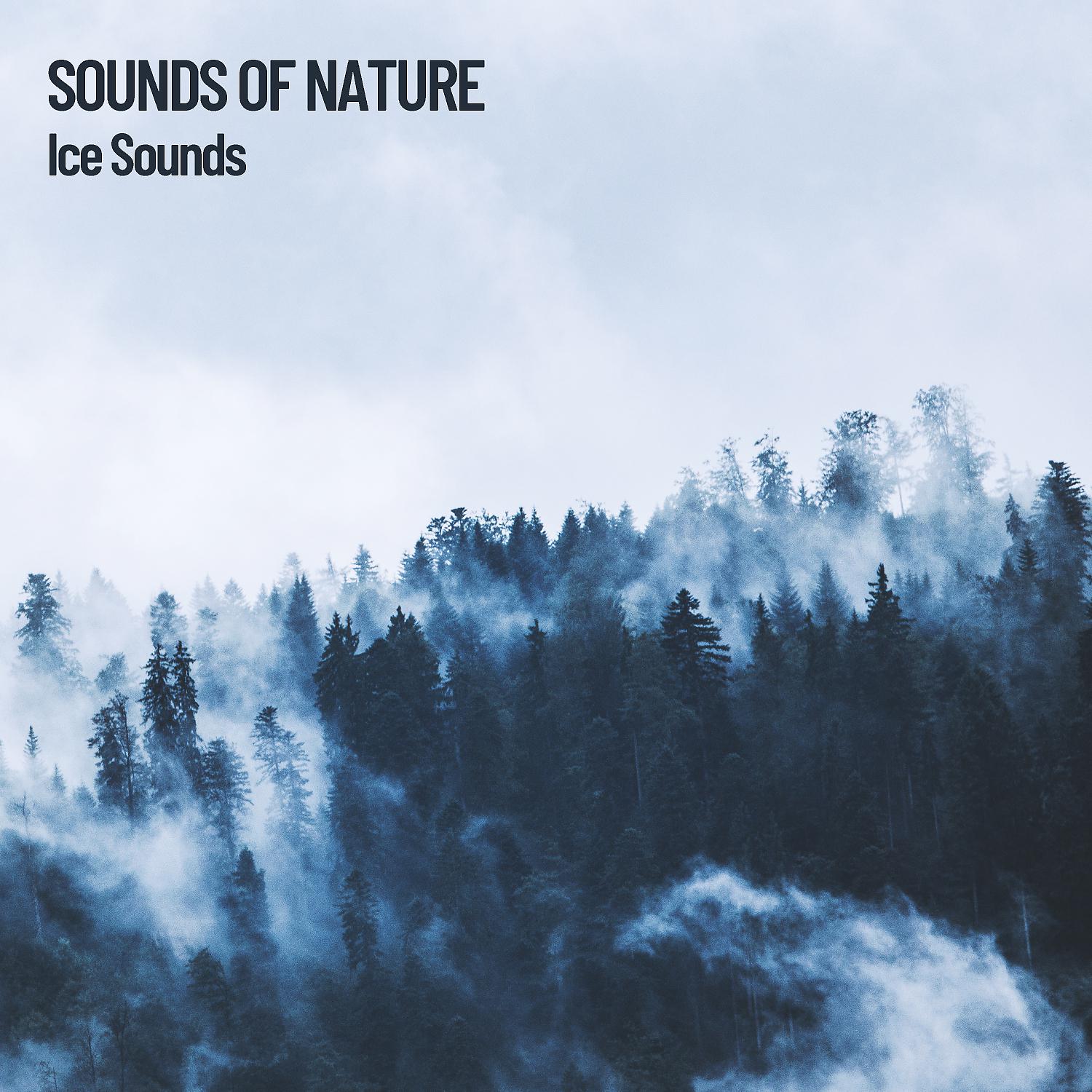 Постер альбома Sounds of Nature: Ice Sounds