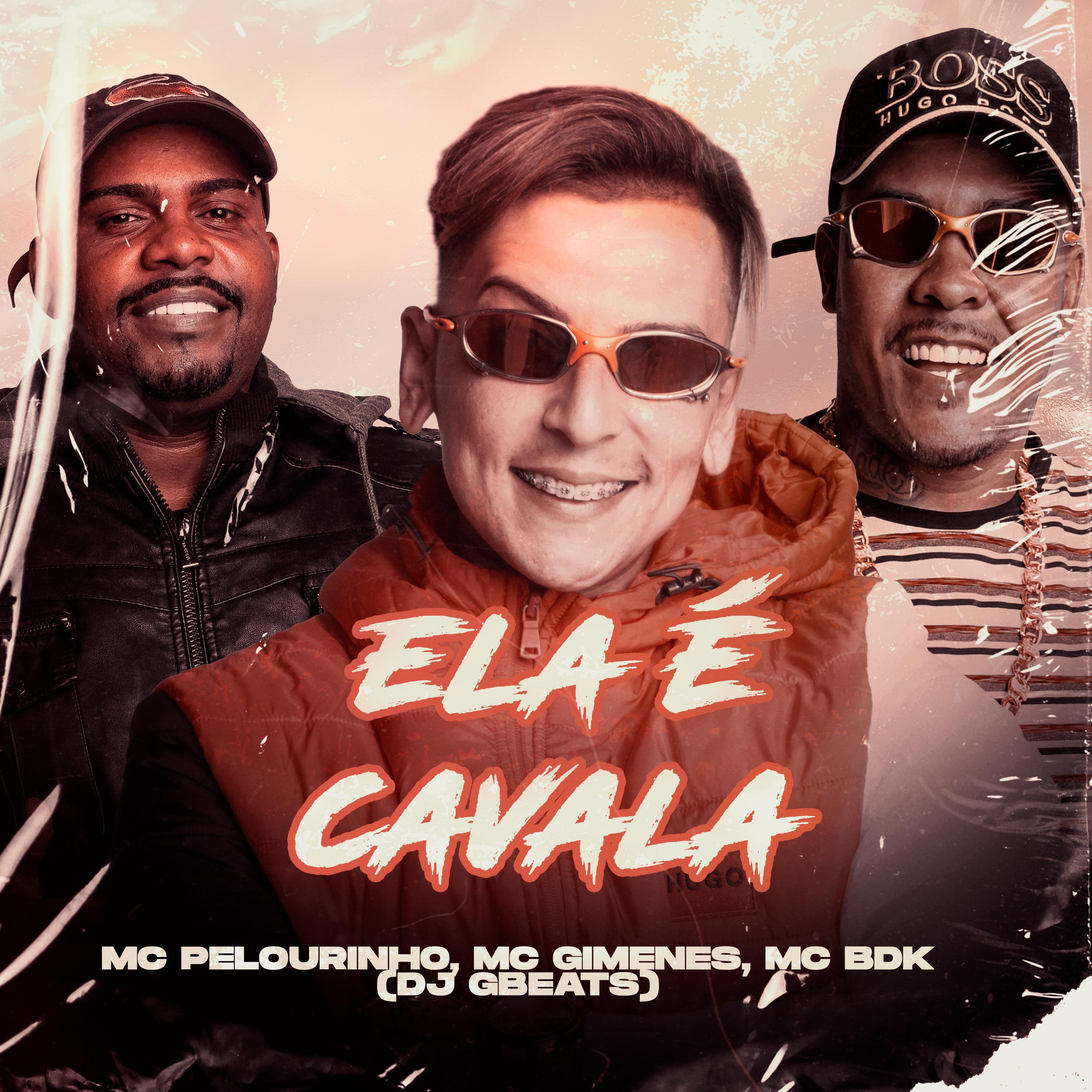 Постер альбома Ela É Cavala