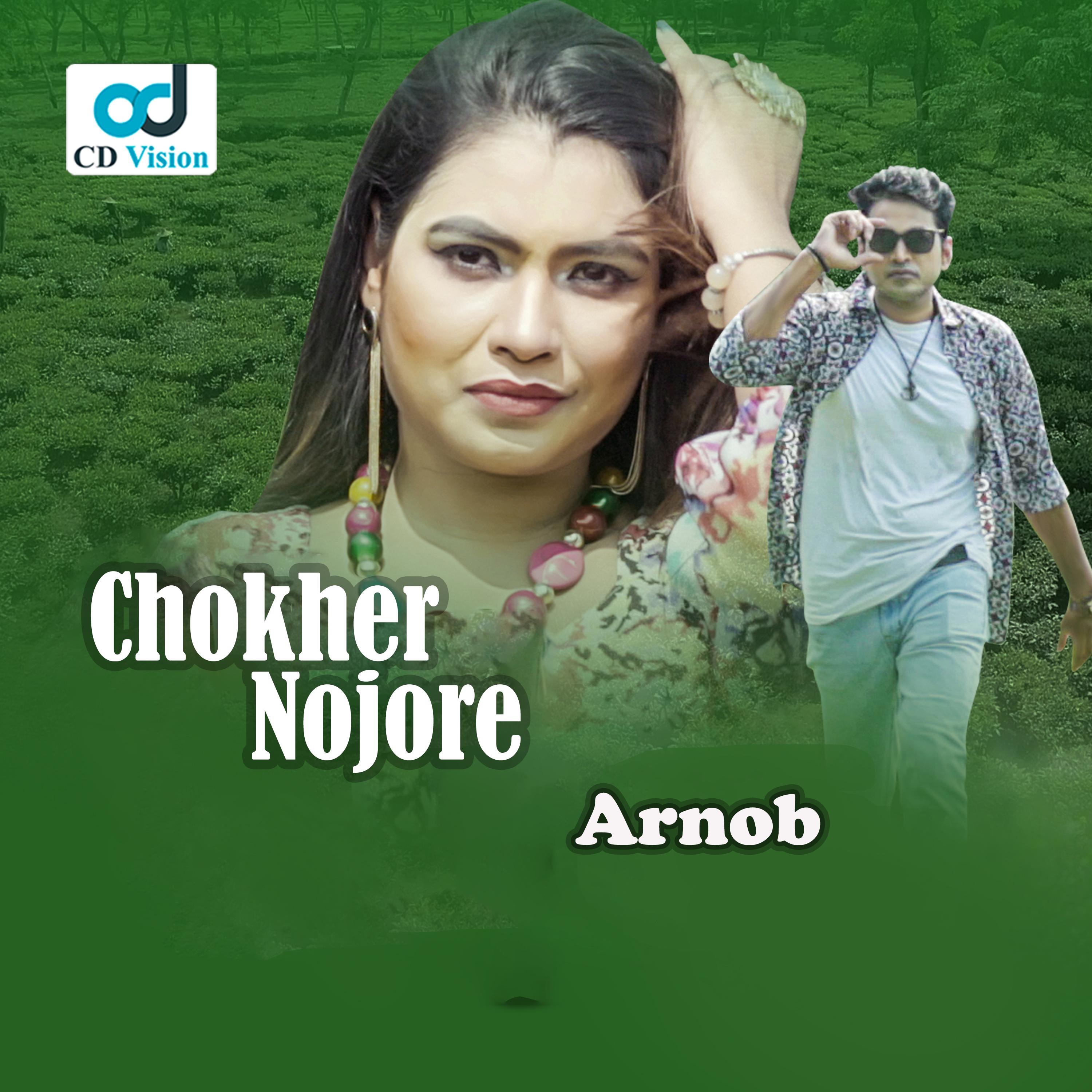Постер альбома Chokher Nojore