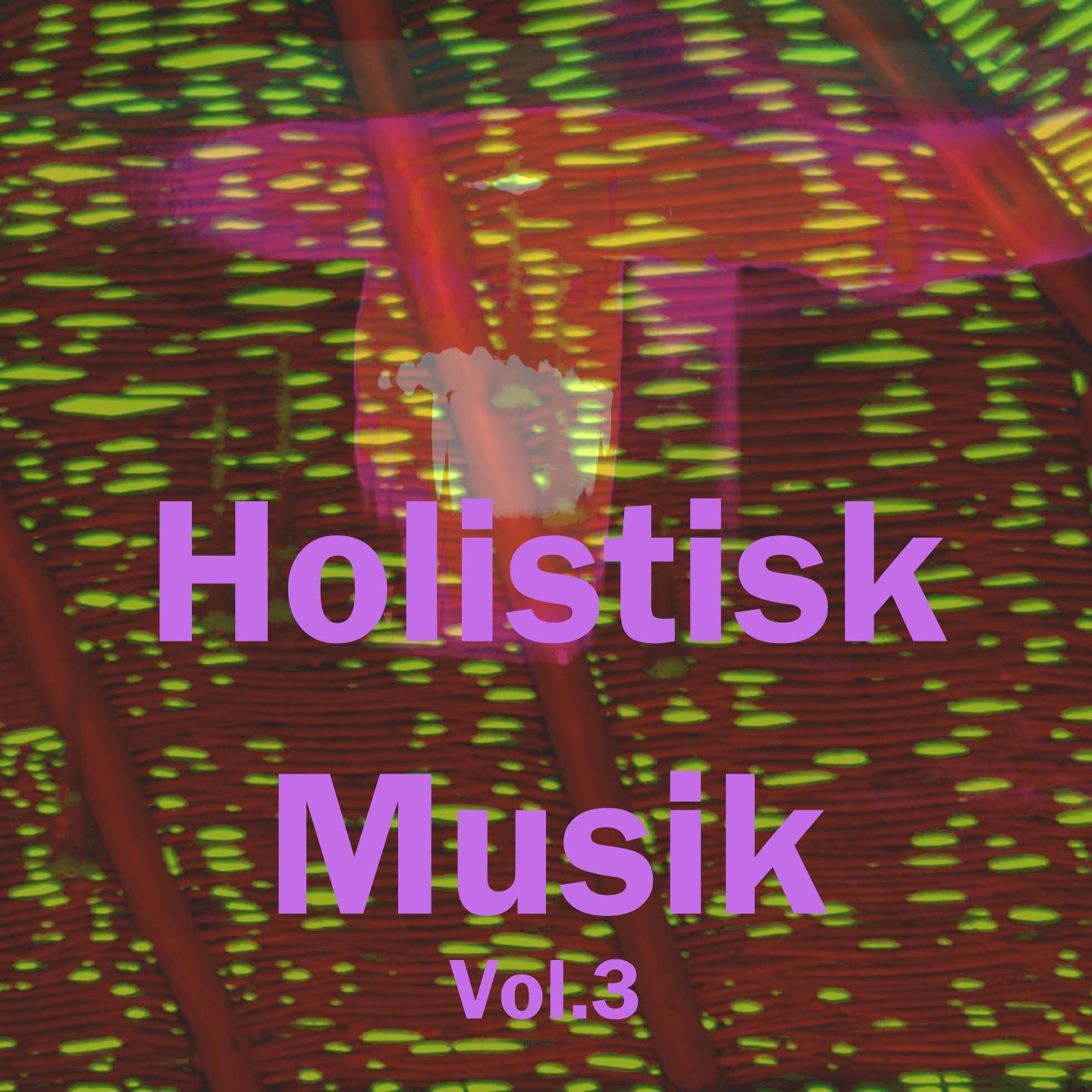 Постер альбома Holistisk Musik, Vol. 3