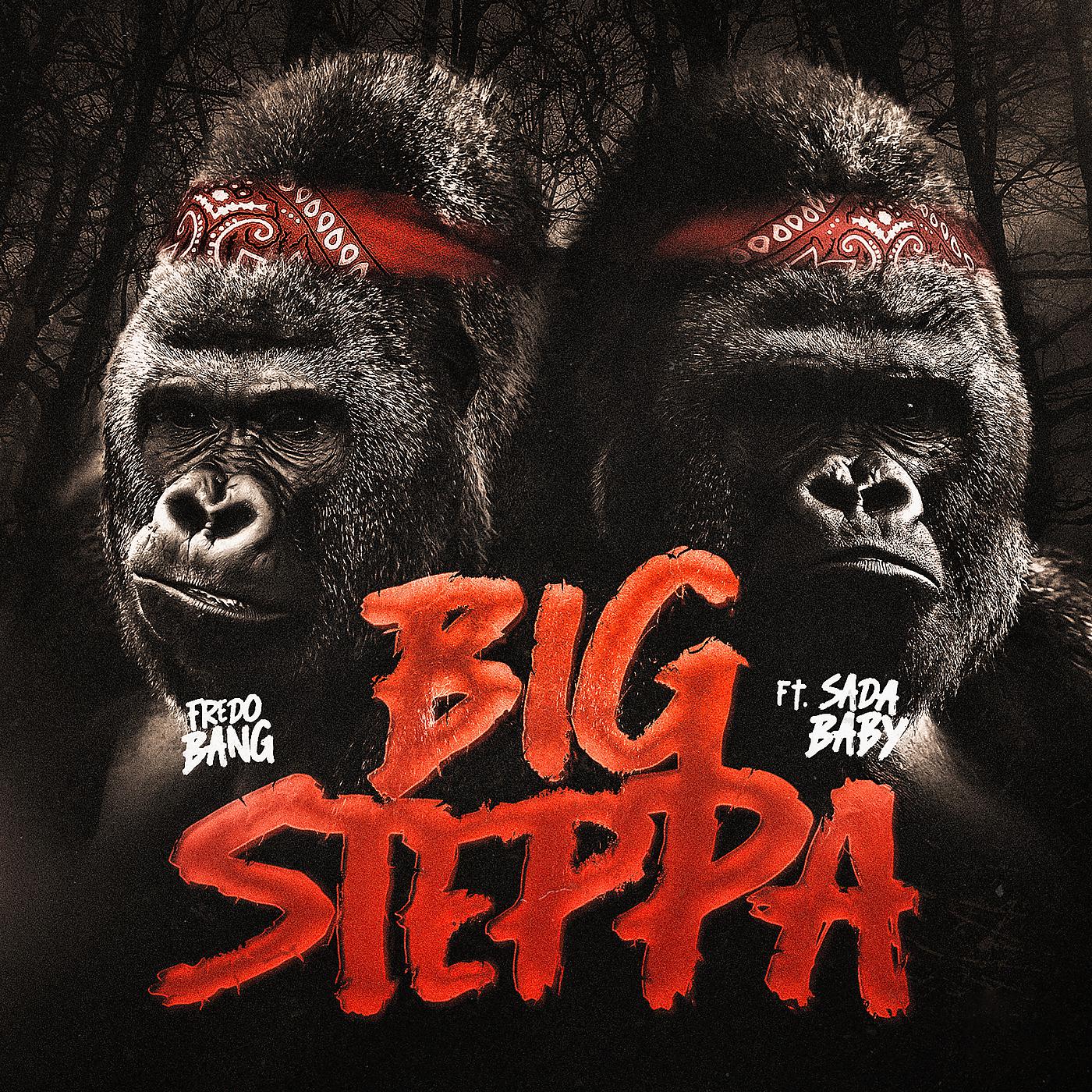 Постер альбома Big Steppa