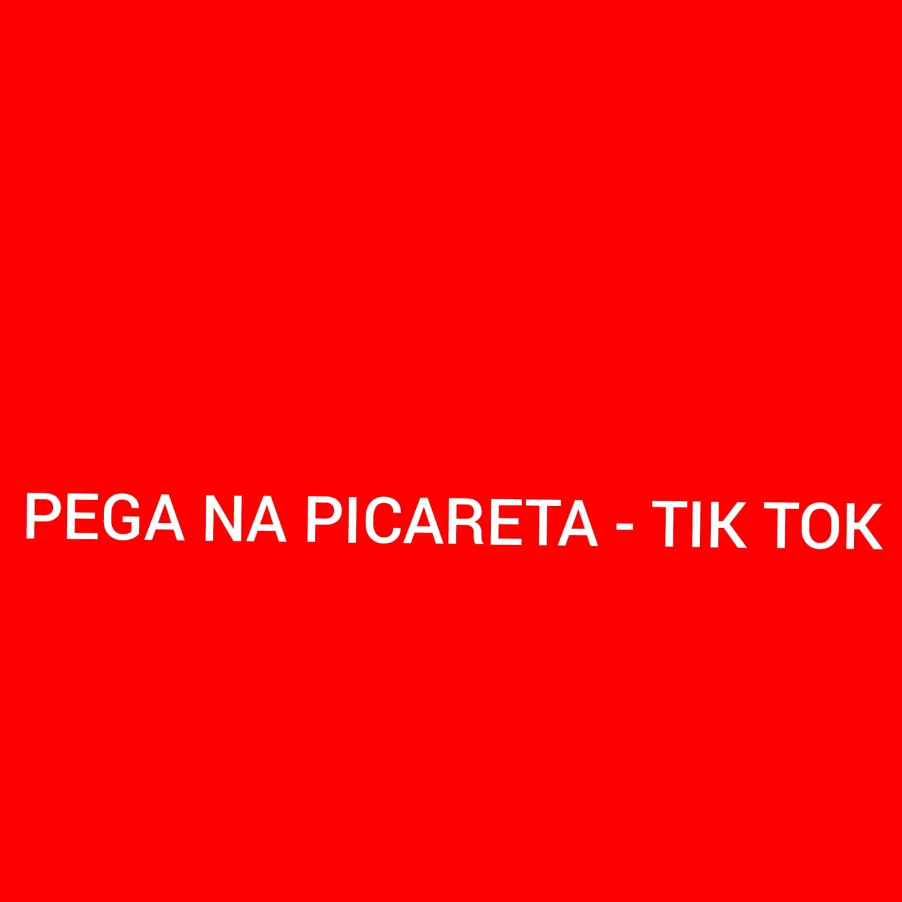 Постер альбома Pega na Picareta - Tik Tok