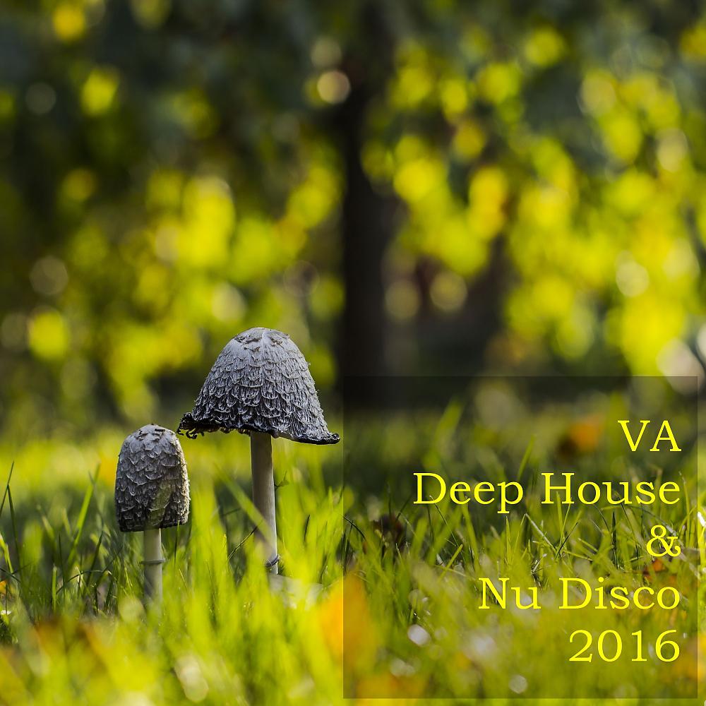 Постер альбома Deep House & Nu Disco 2016