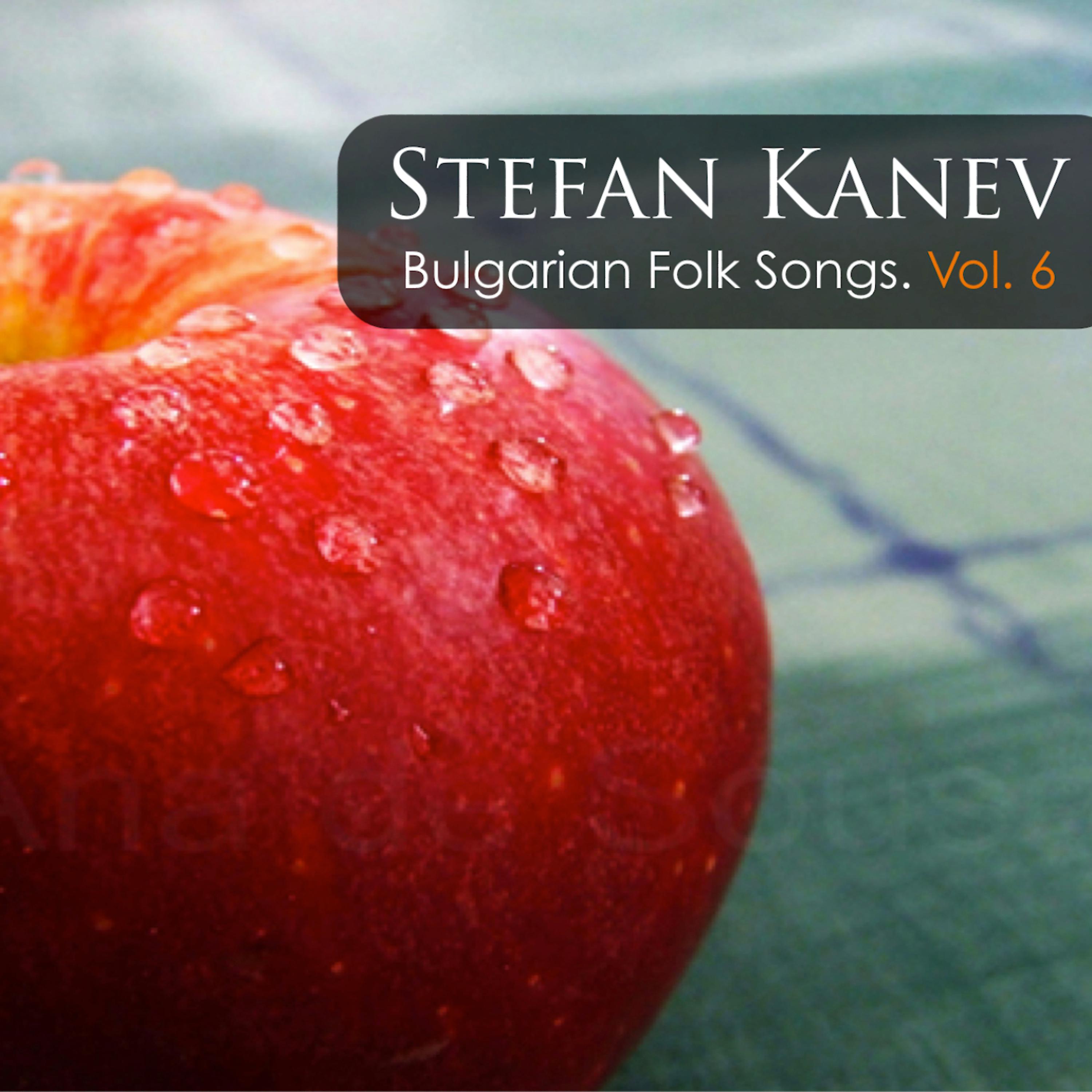 Постер альбома Stefan Kanev: Bulgarian Folk Songs, Vol. 6