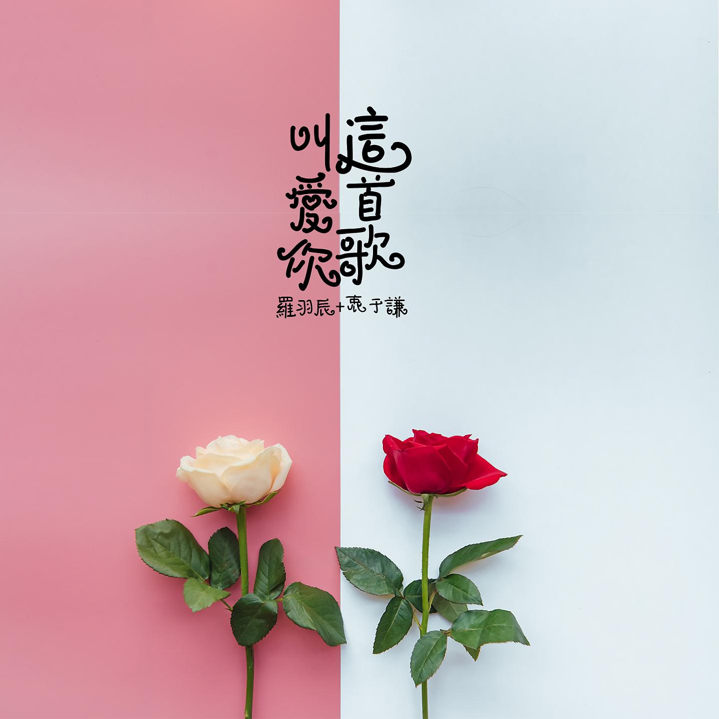 Постер альбома 这首歌叫爱你