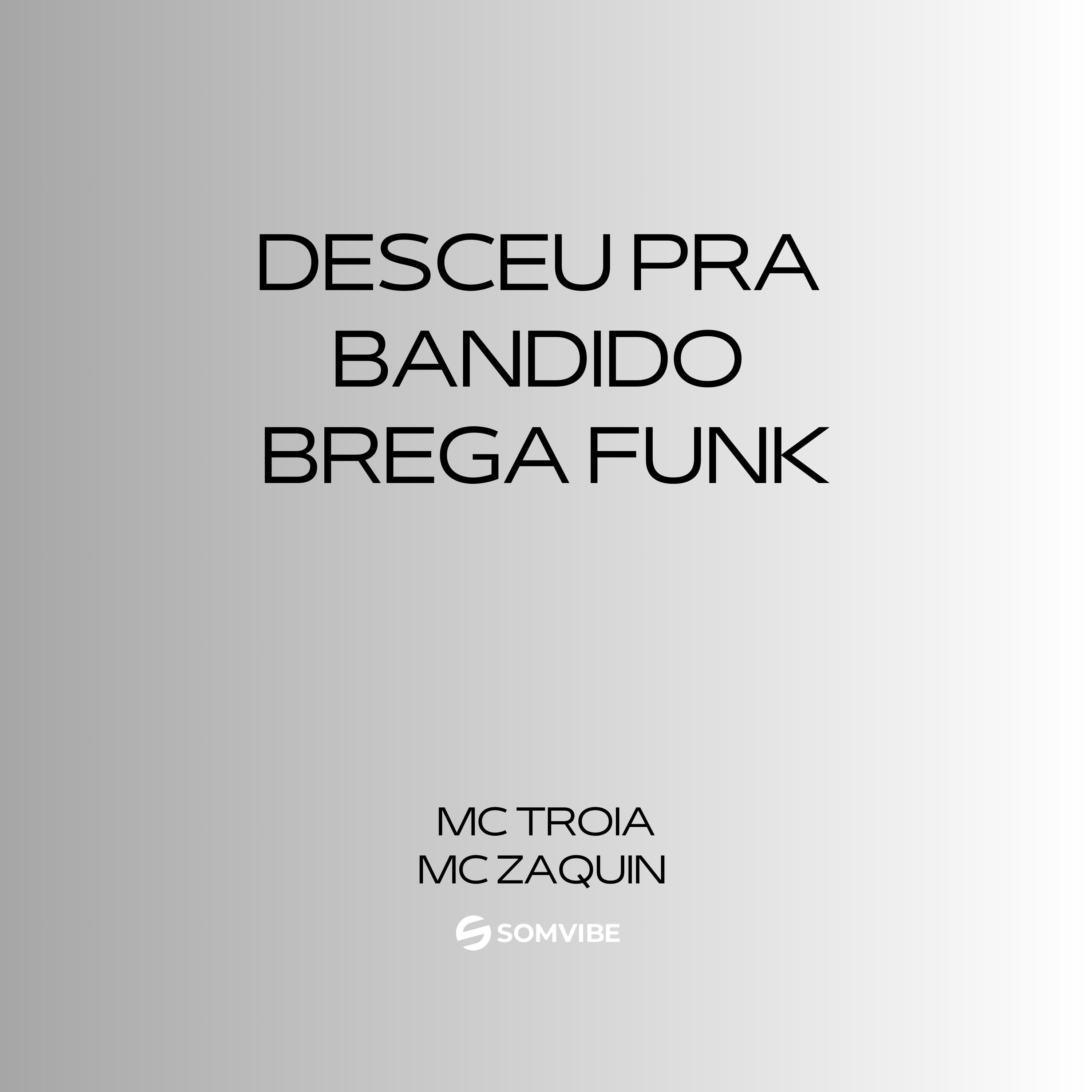 Постер альбома Desceu pra Bandido Brega Funk