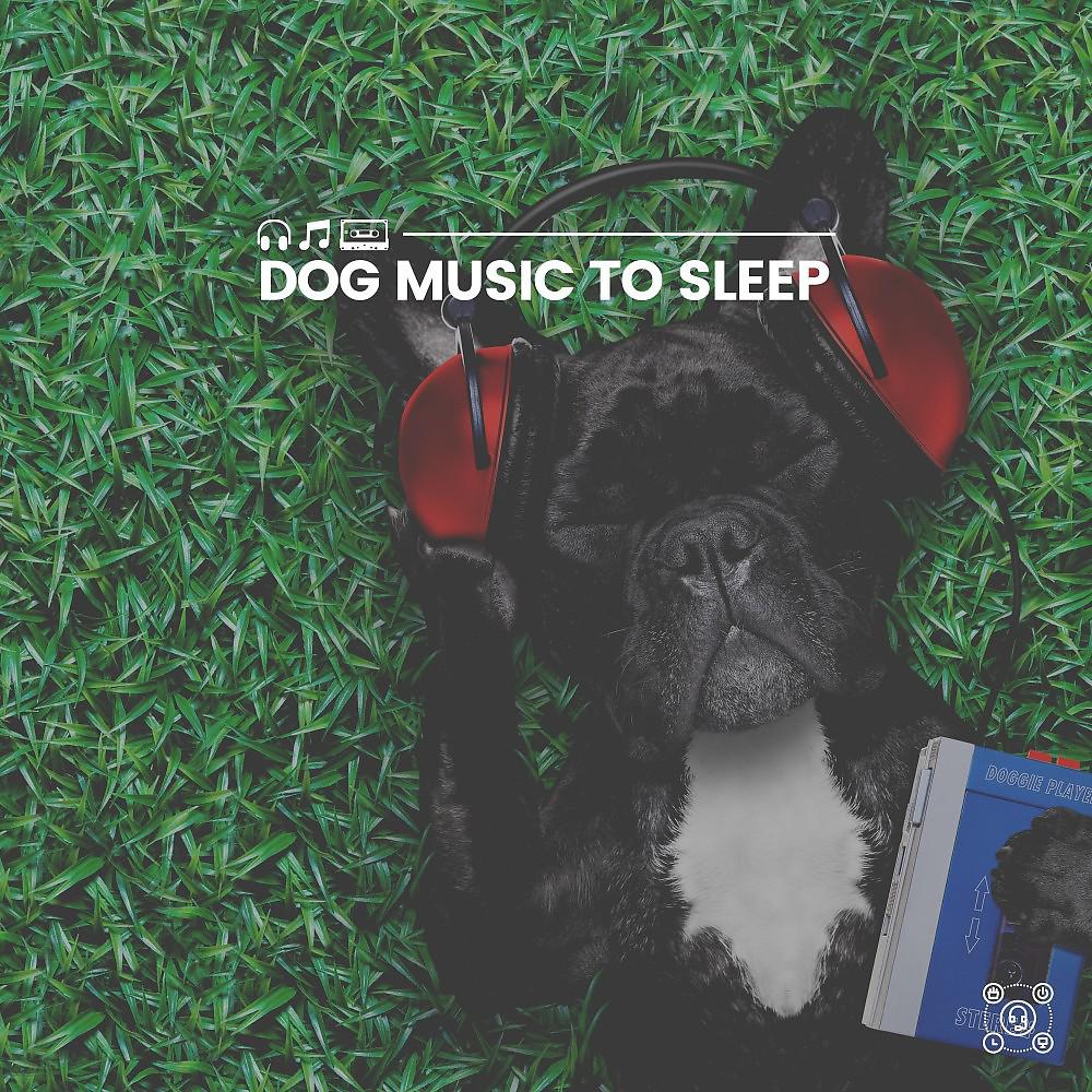 Постер альбома Dog Music to Sleep