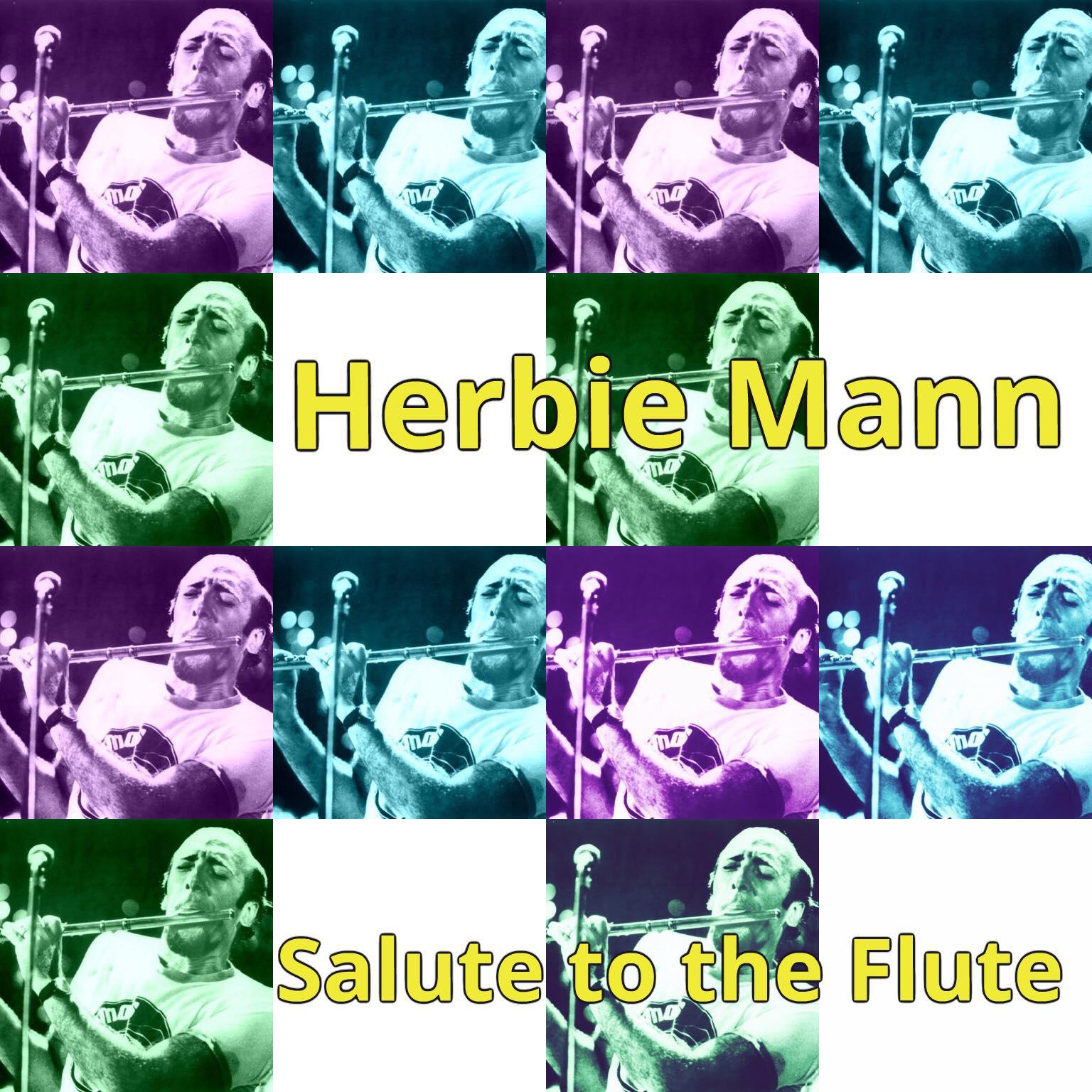 Постер альбома Salute to the Flute