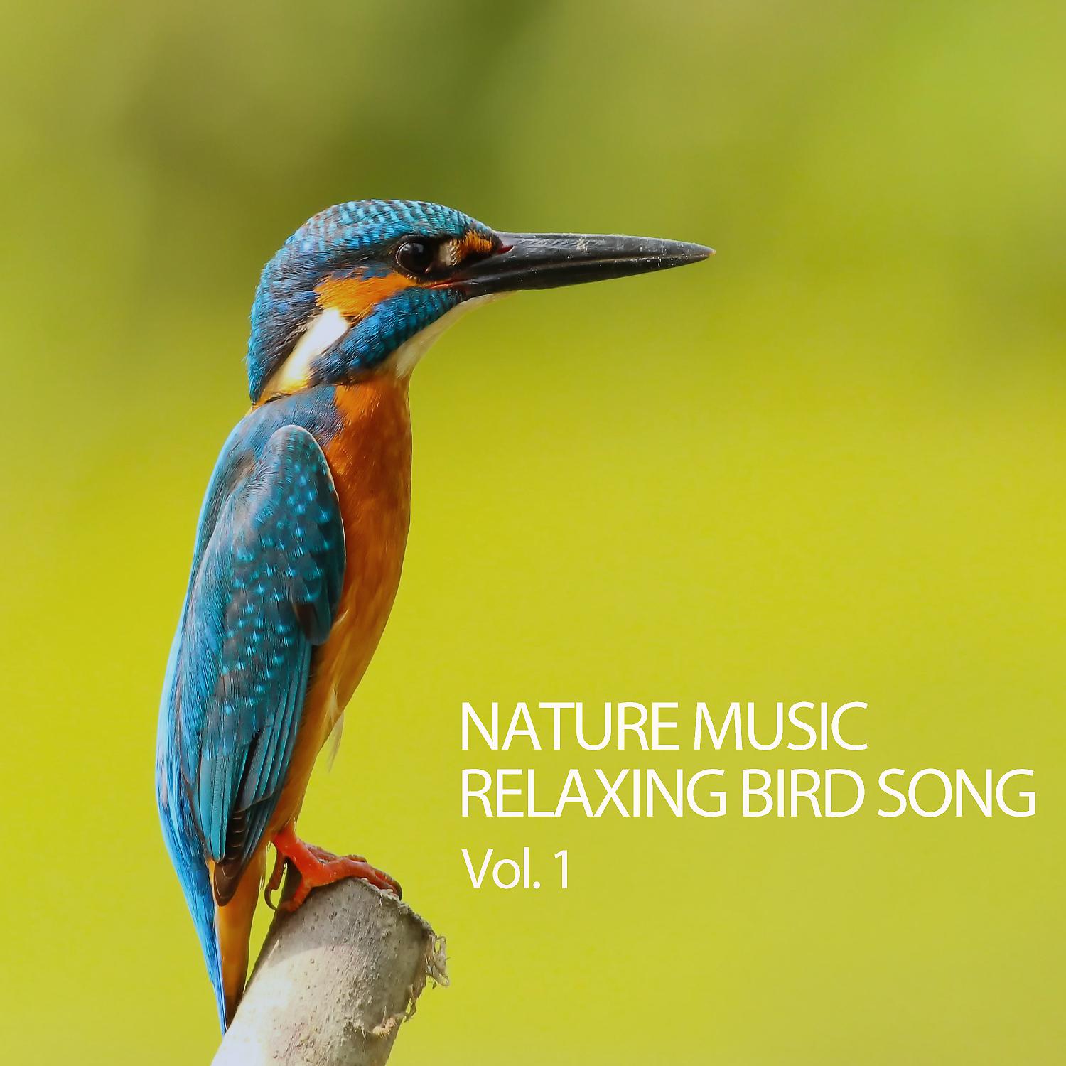 Постер альбома Nature Music: Relaxing Bird Song Vol. 1
