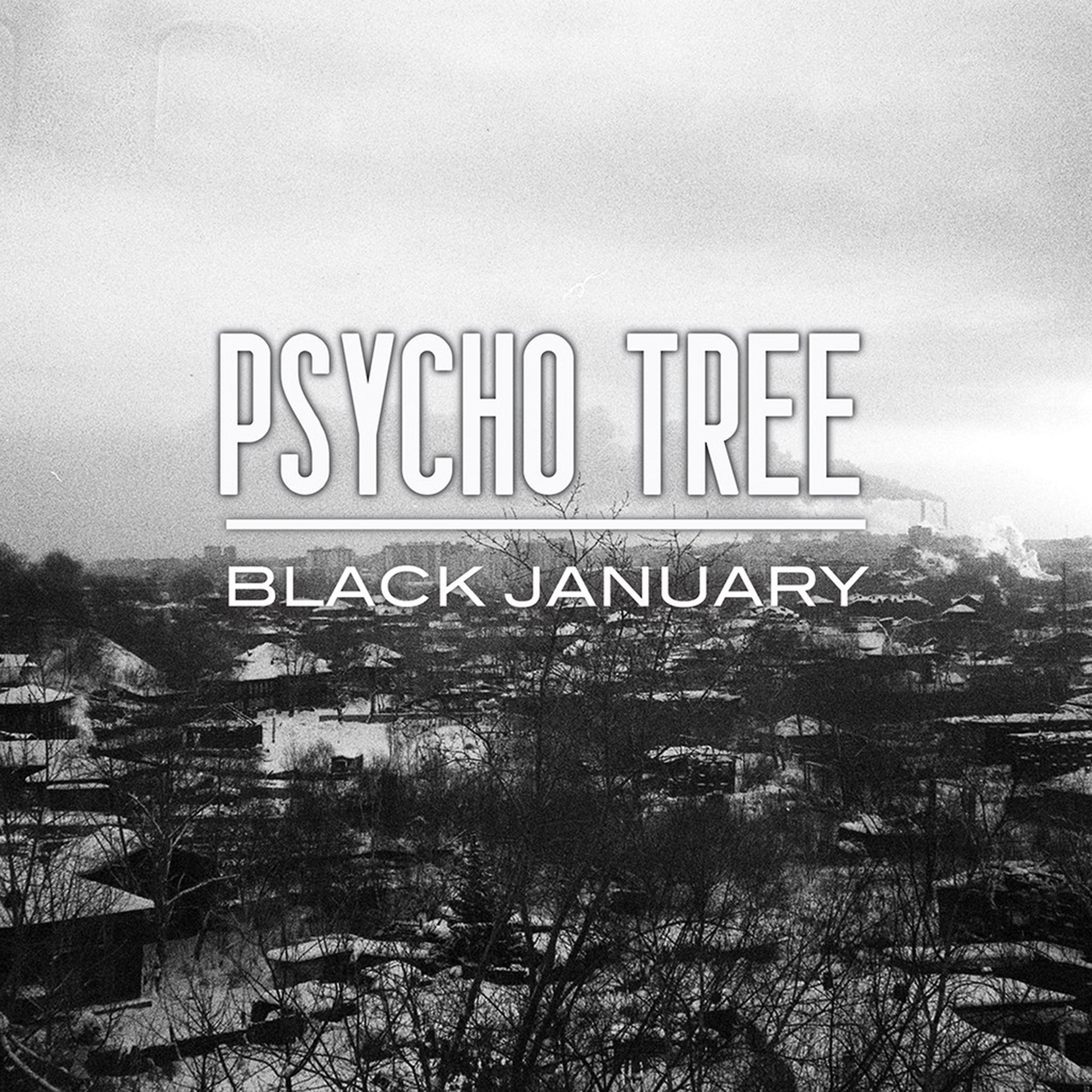 Постер альбома Black January