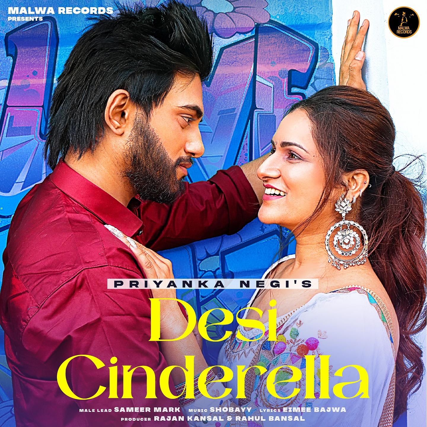 Постер альбома Desi Cinderella