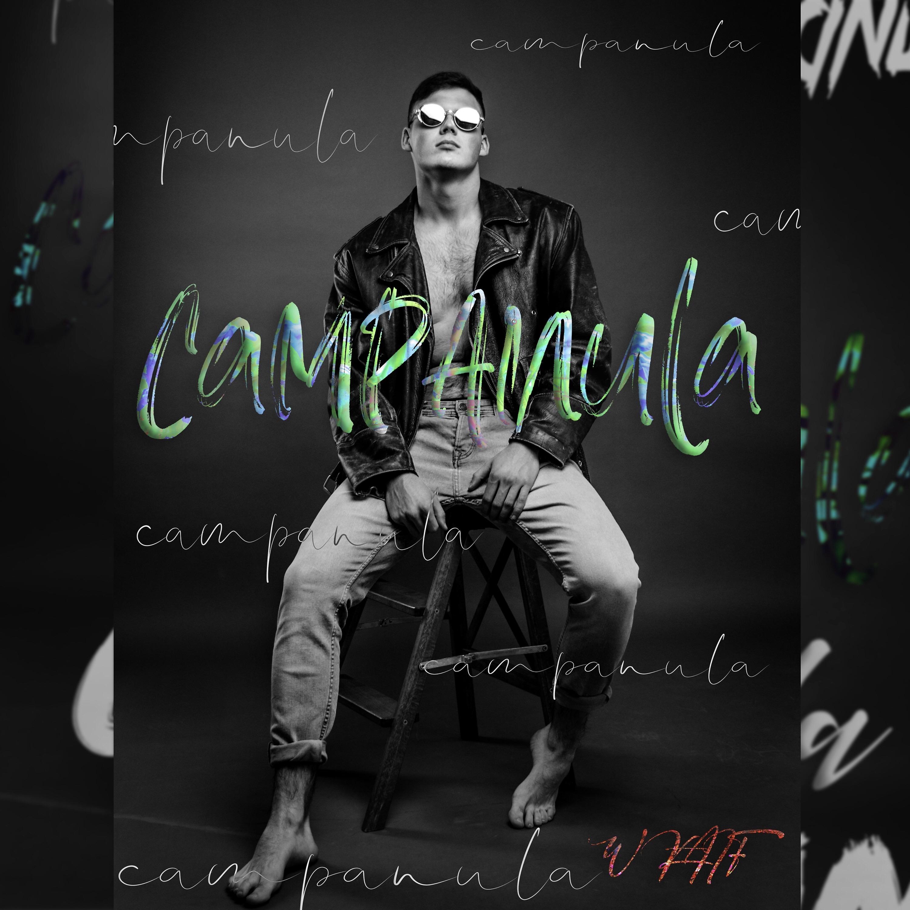 Постер альбома Campanula