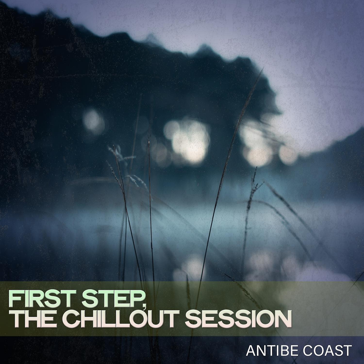 Постер альбома First Step, the Chillout Session