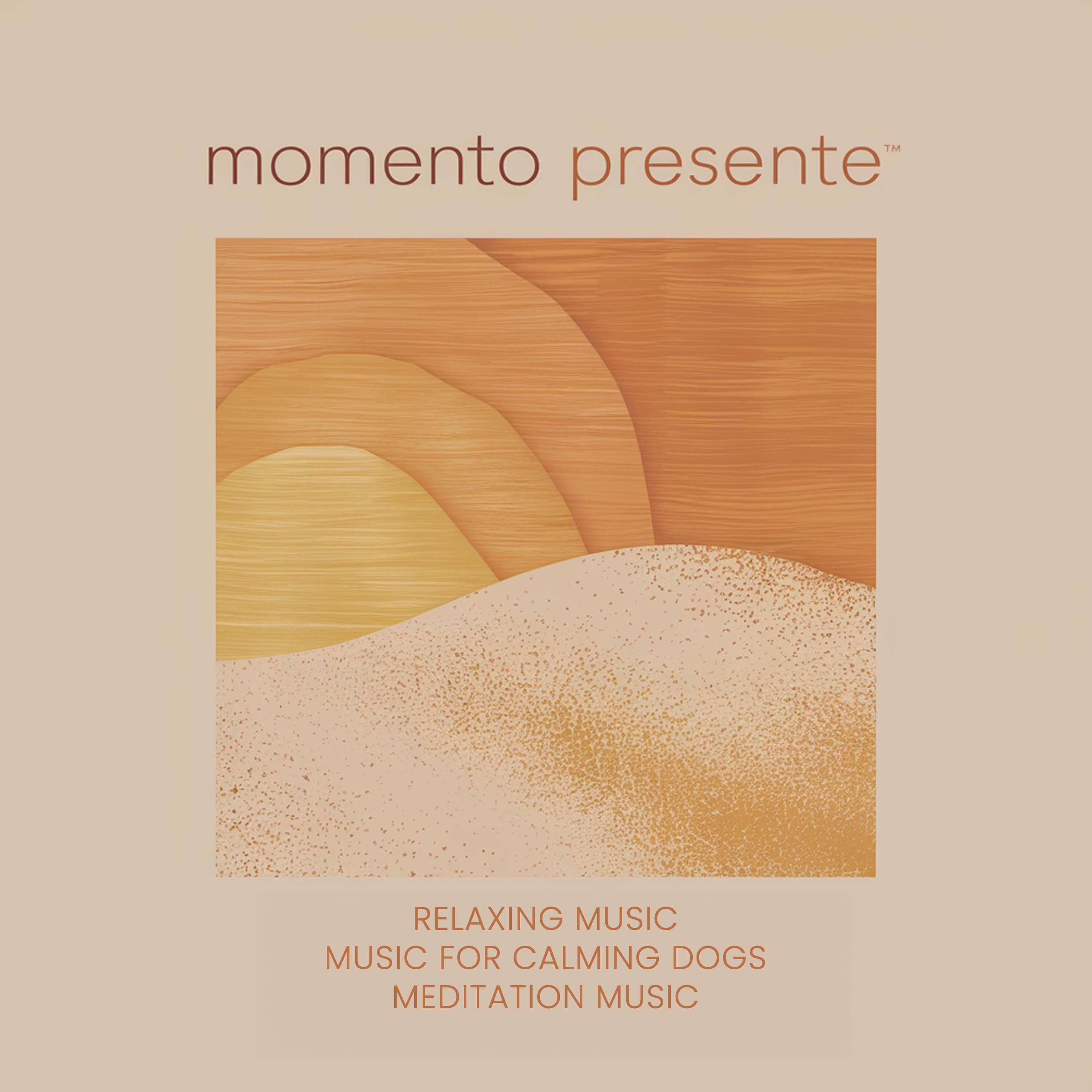 Постер альбома Momento Presente