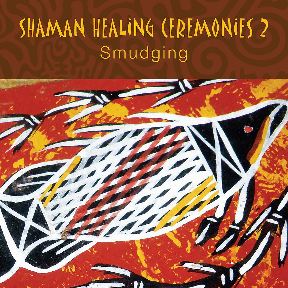 Постер альбома Shaman Healing Ceremonies, Pt. 2