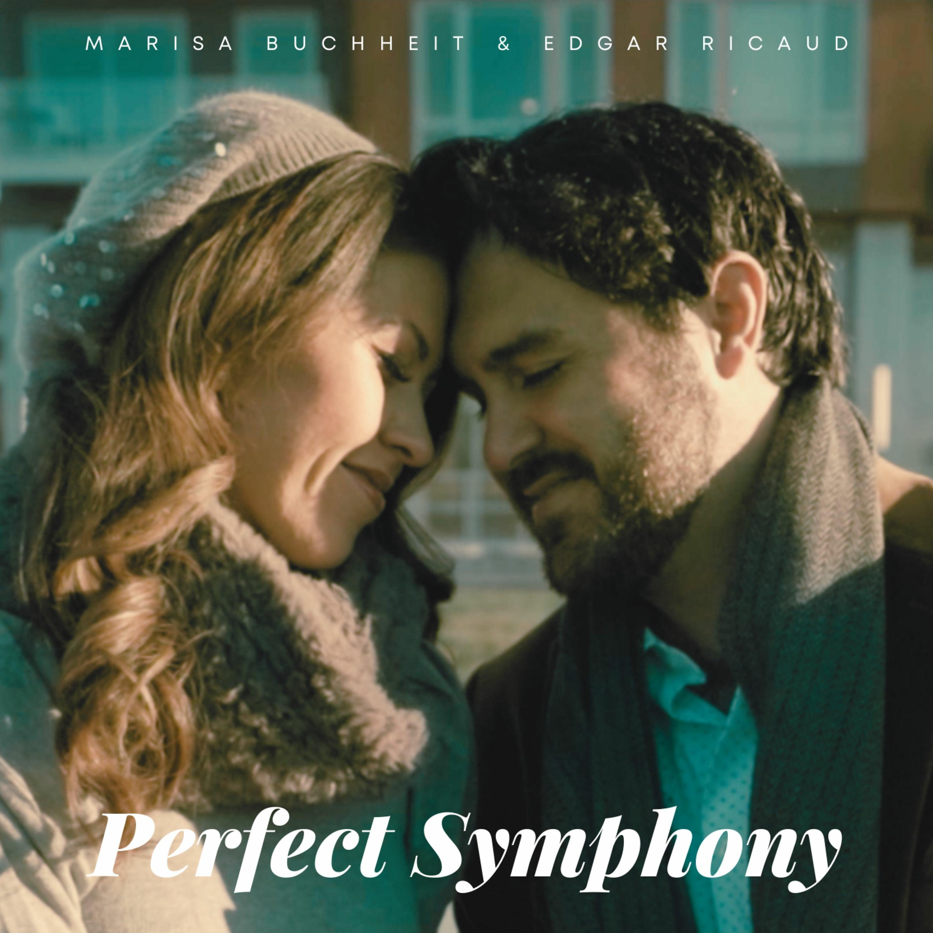 Постер альбома Perfect Symphony