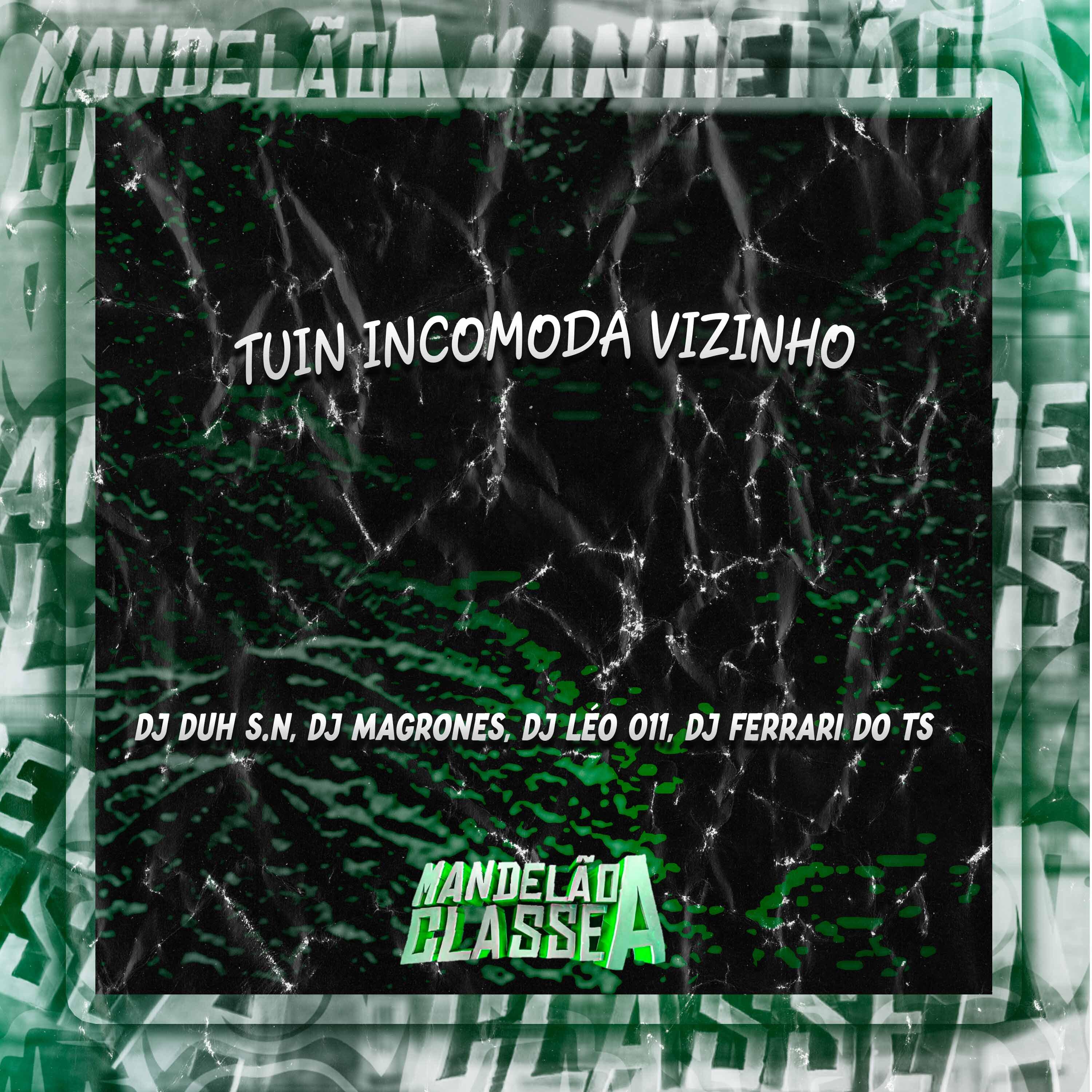 Постер альбома Tuin Incomoda Vizinho