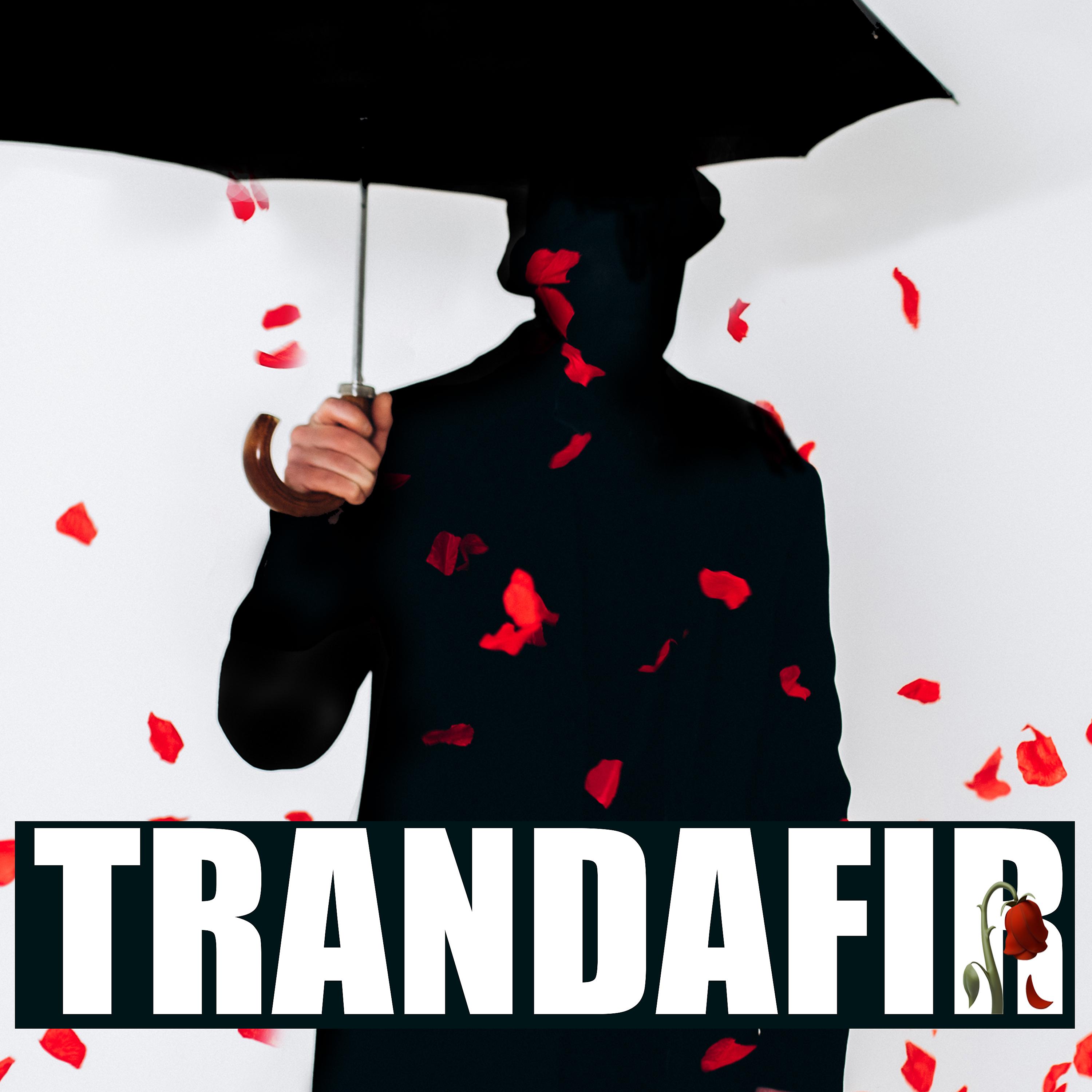 Постер альбома Trandafir