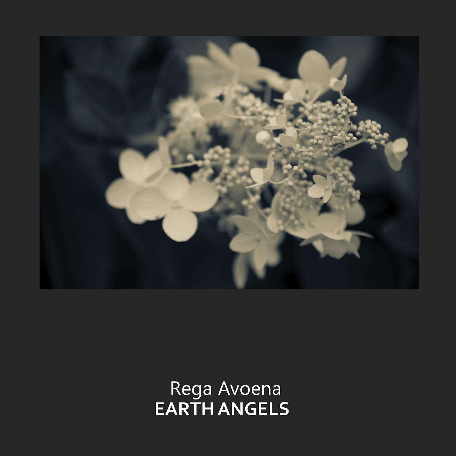 Постер альбома Earth Angels